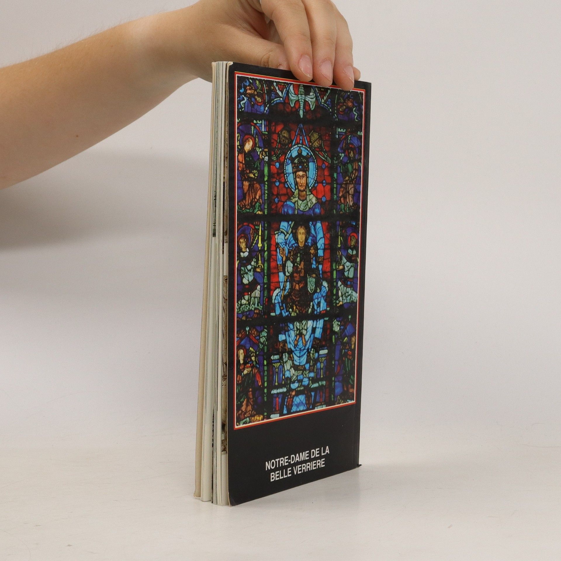 Autorenkollektiv Chartes kunstführer der kathedrale