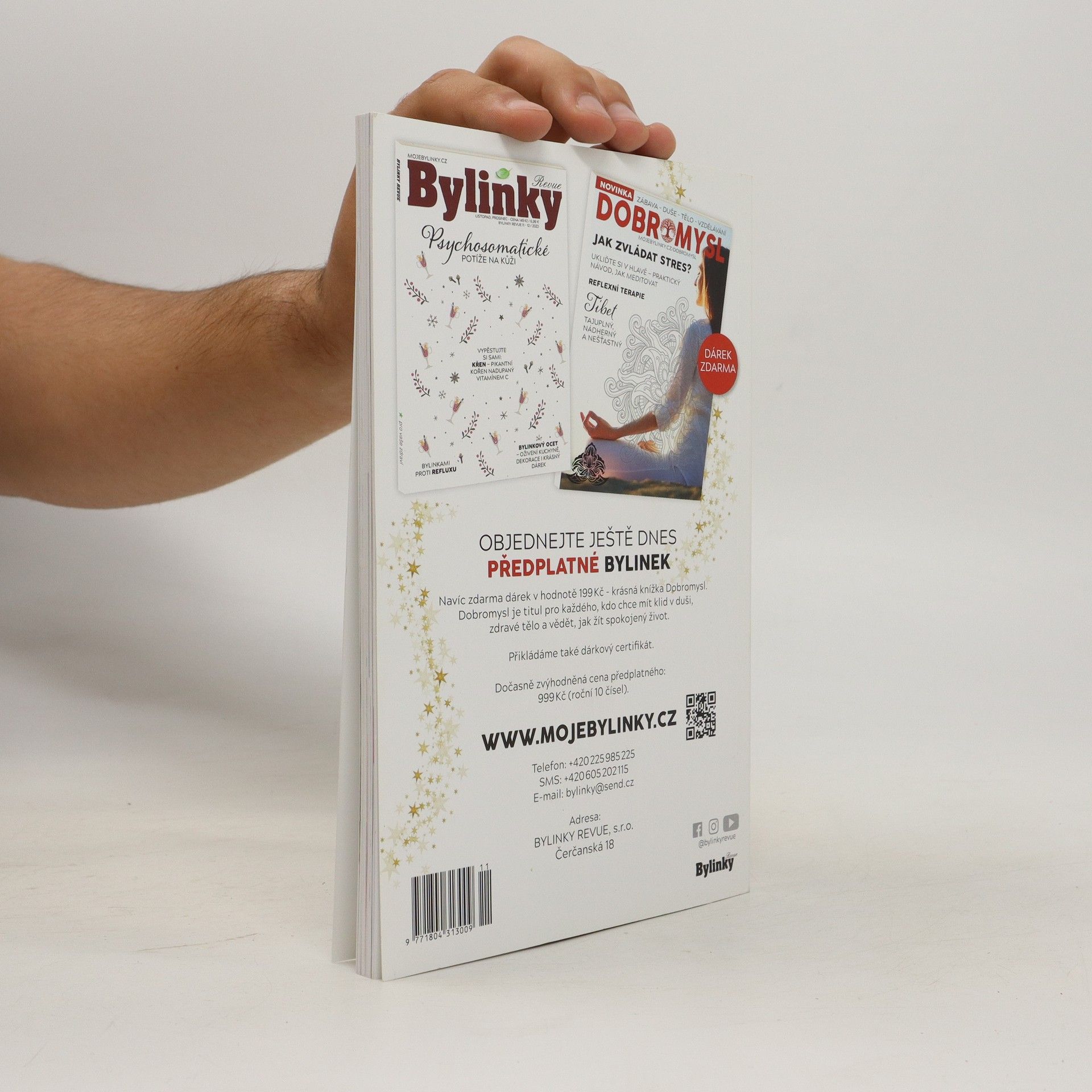 Kolektiv autorů Bylinky Revue 12/2022. Psychosomatické potíže na kůži