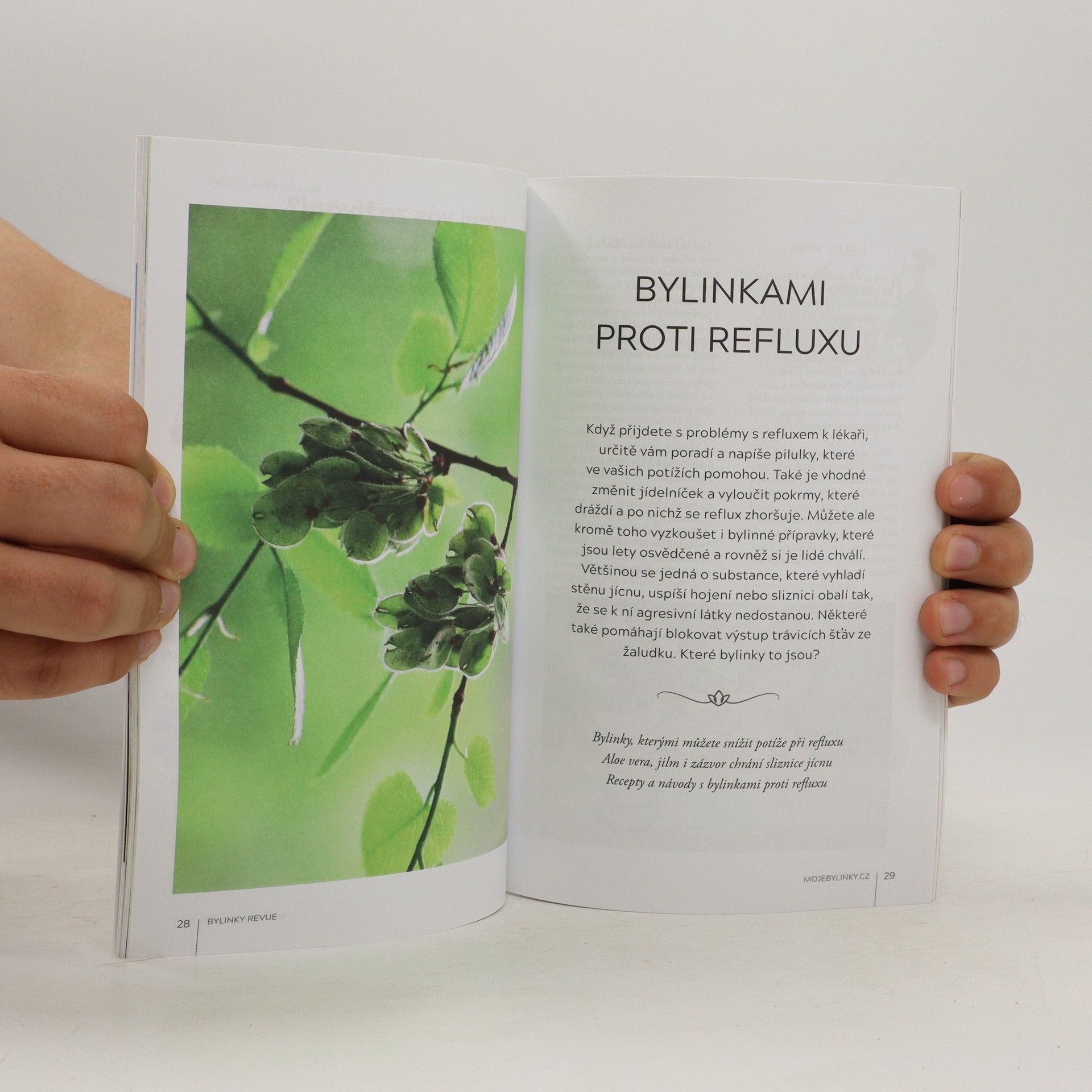 Kolektiv autorů Bylinky Revue 12/2022. Psychosomatické potíže na kůži