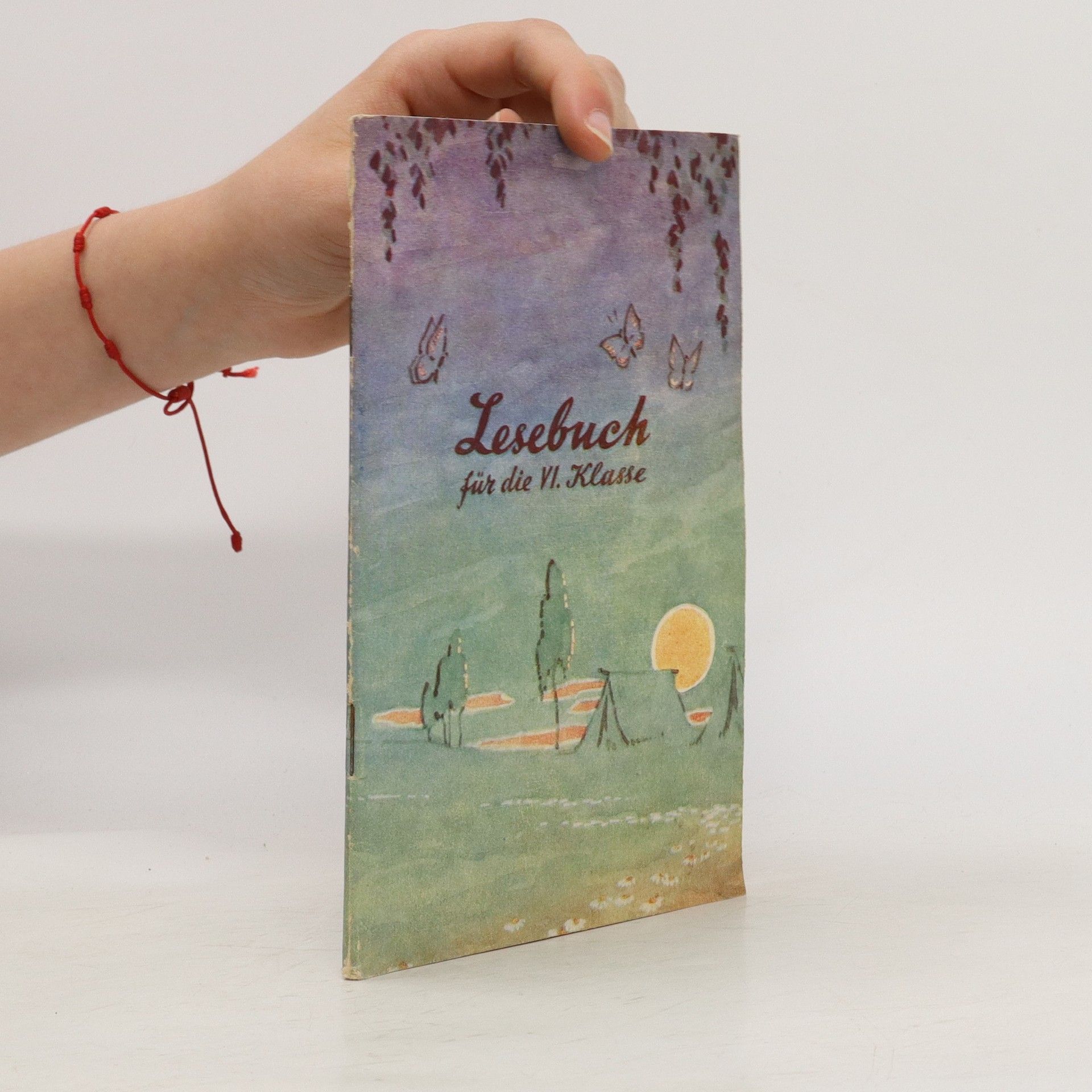 Autorenkollektiv Lesebuch für die VI. Klasse