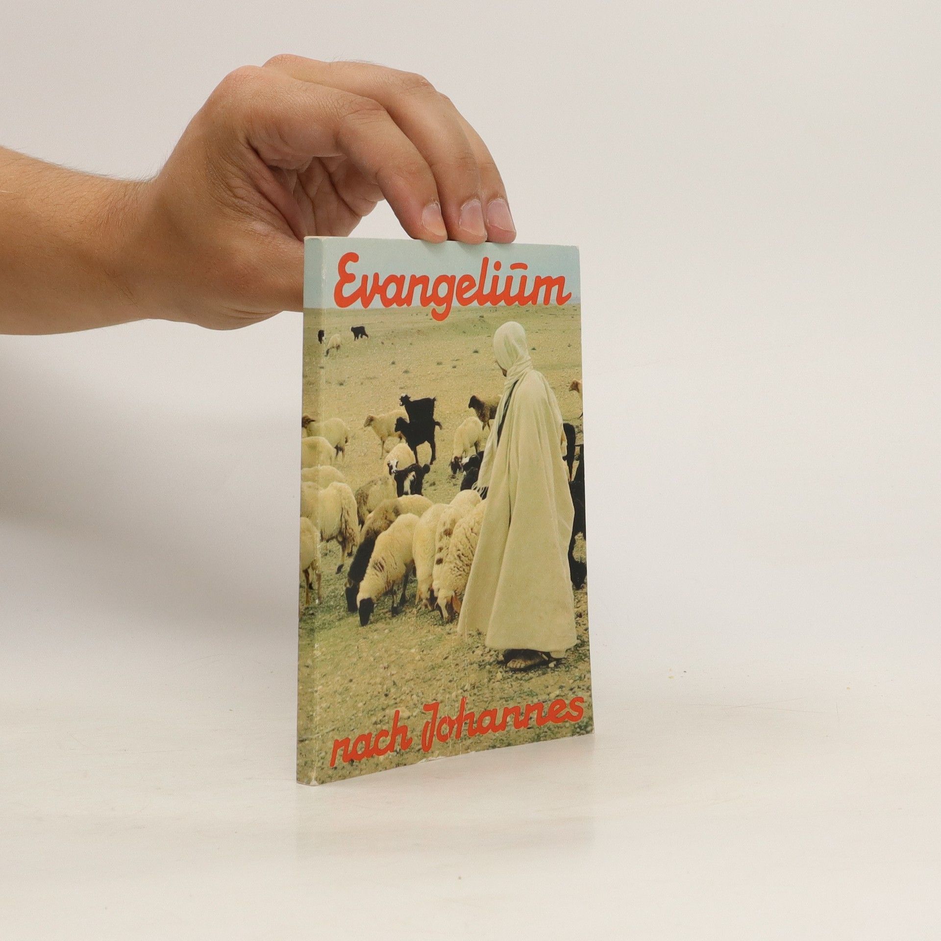 Autorenkollektiv Evangelium nach Johannes