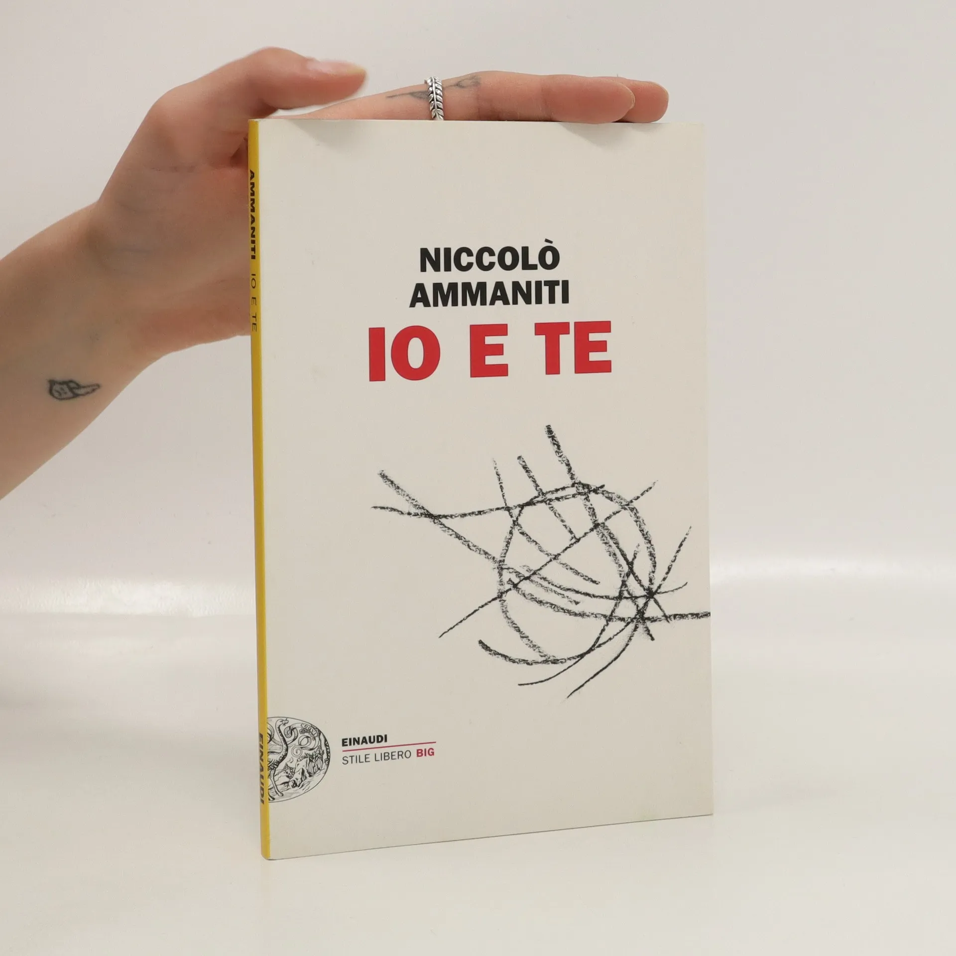 NICCOLÒ AMMANITI: IO E TE