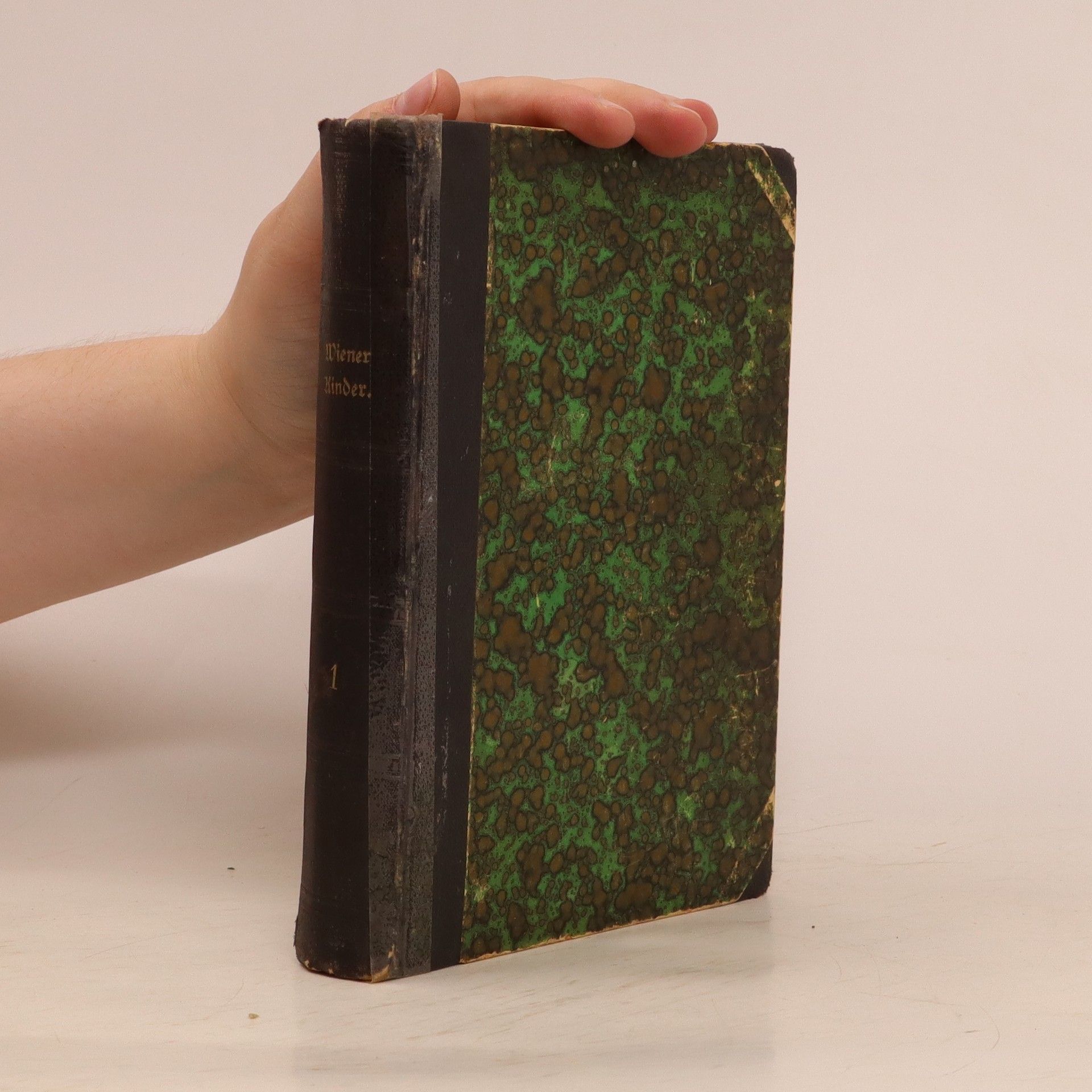 Karl Luenger Wiener Kinder 1