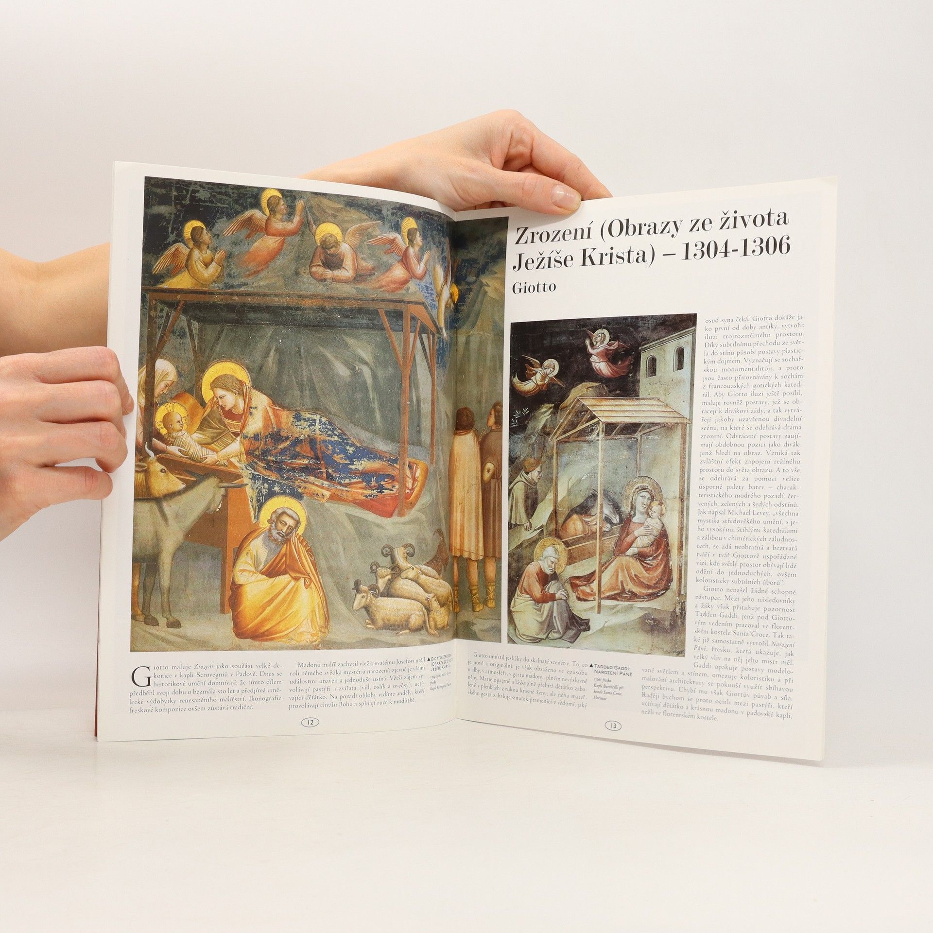 Autorenkollektiv Největší malíři. Vánoční vydání