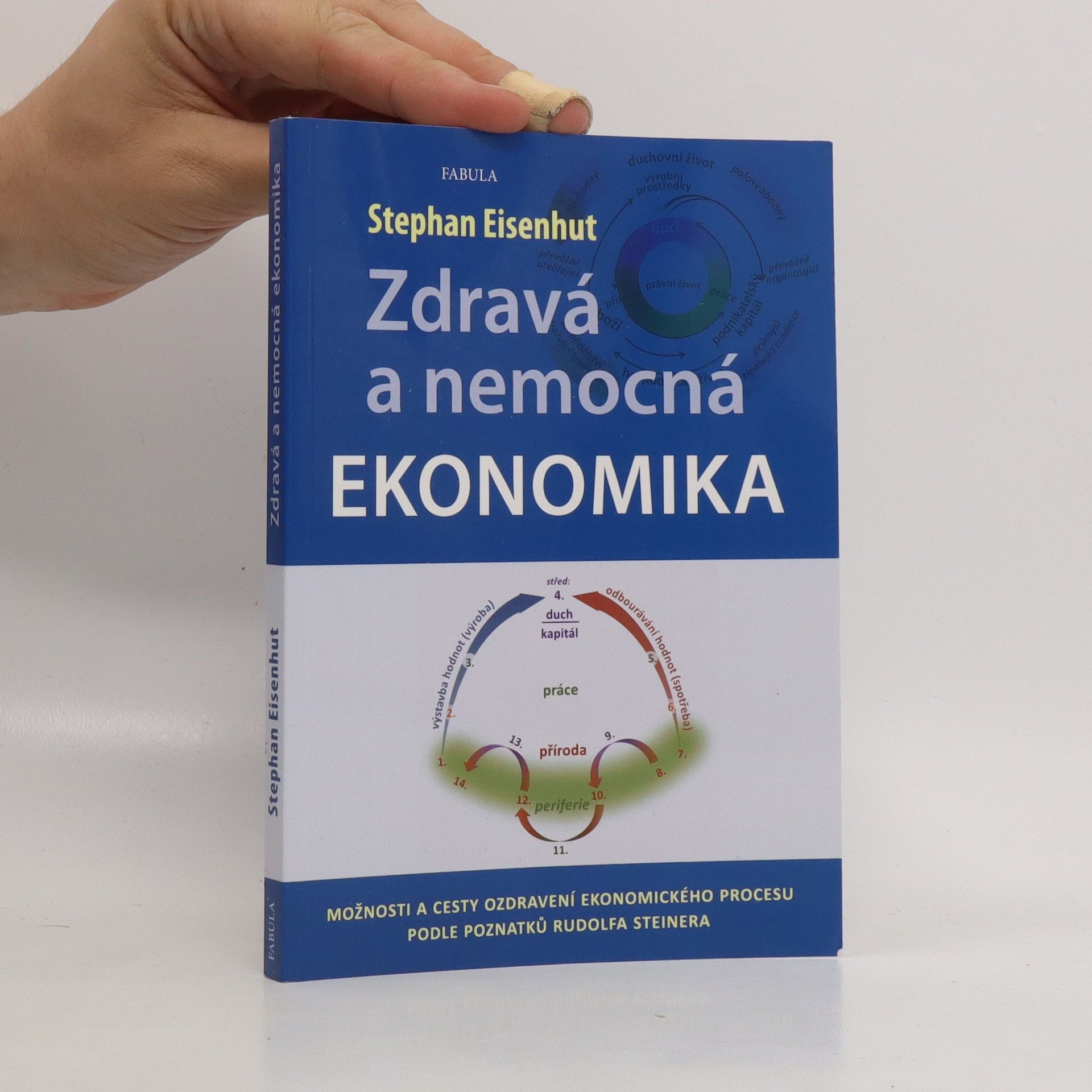 Stephan Eisenhut Zdravá a nemocná ekonomika
