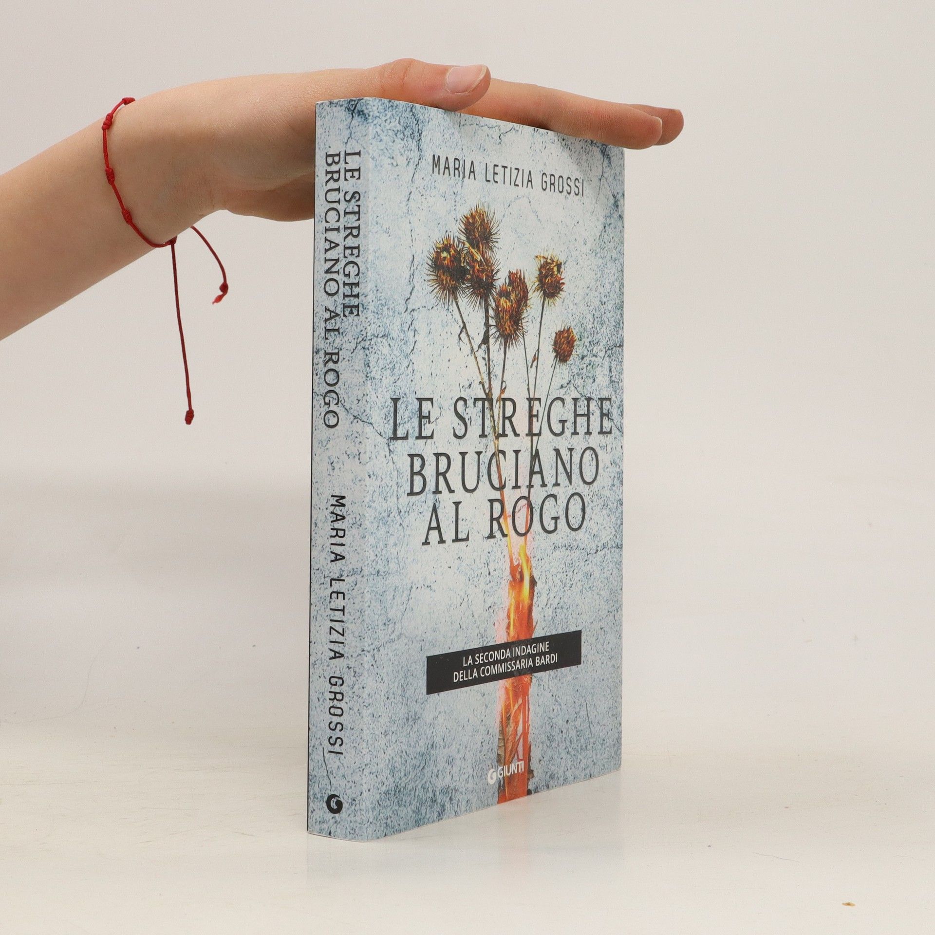 Maria Letizia Grossi Le streghe bruciano al rogo