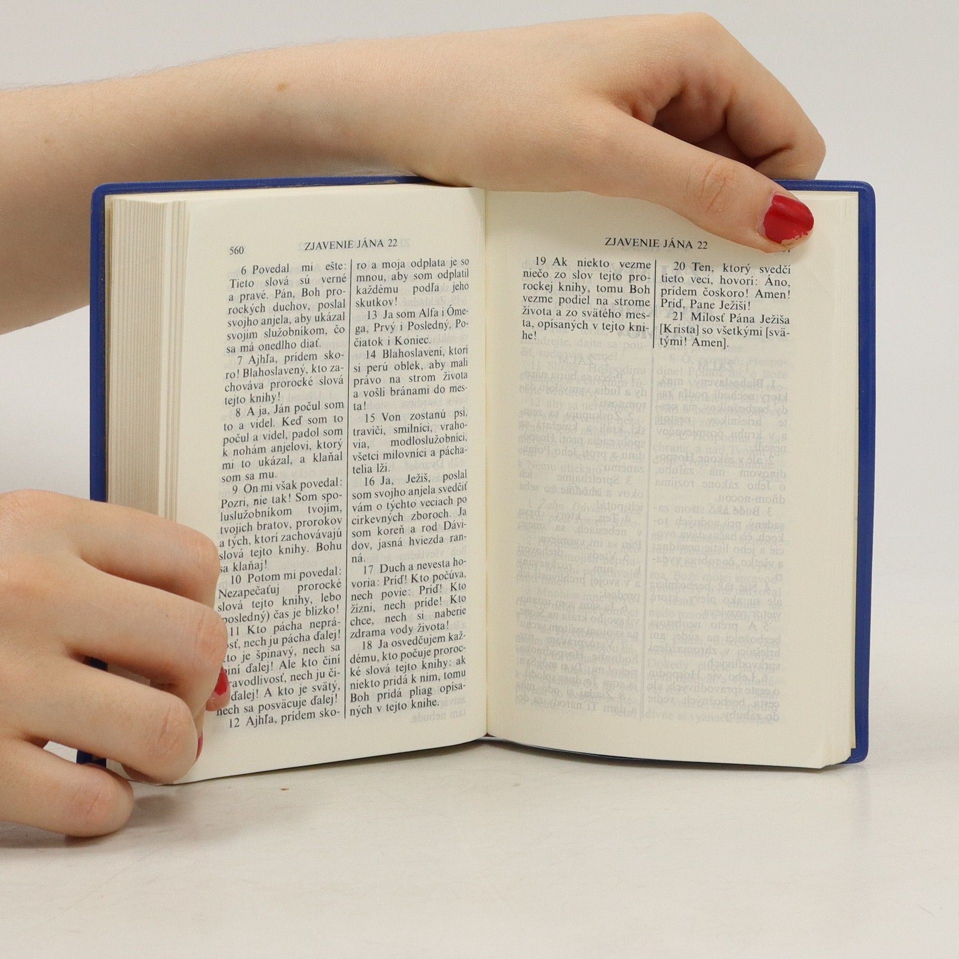 Various authors Nová zmluva nášho pána a spasiteľa Ježíša Krista