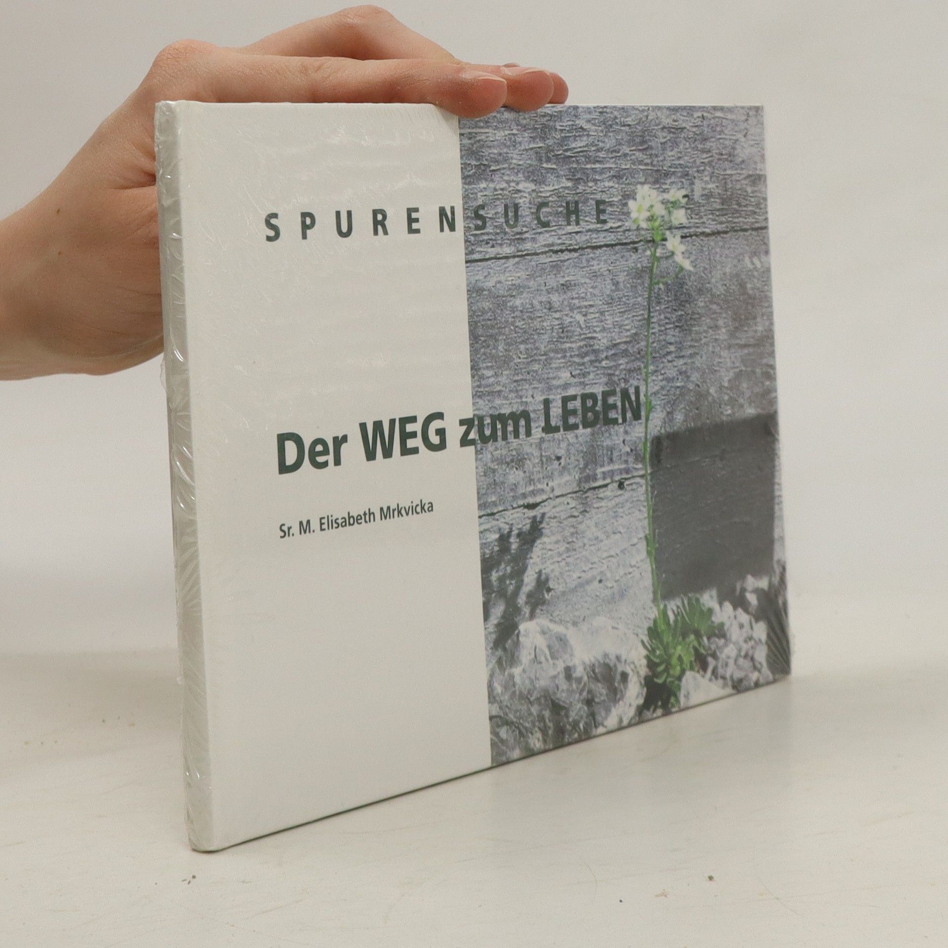 M. Elisabeth Mrkvicka Der Weg zum Leben