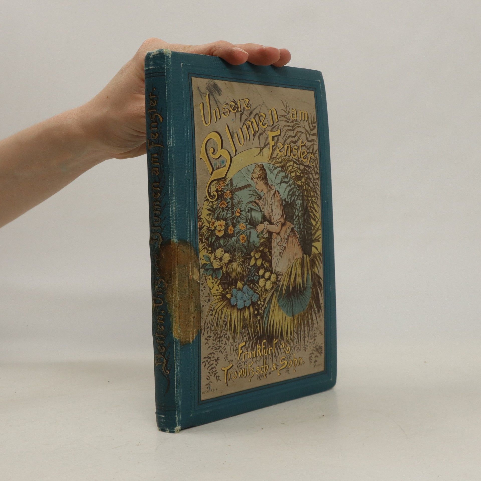 Autorenkollektiv Unsere Blumen am Fenster