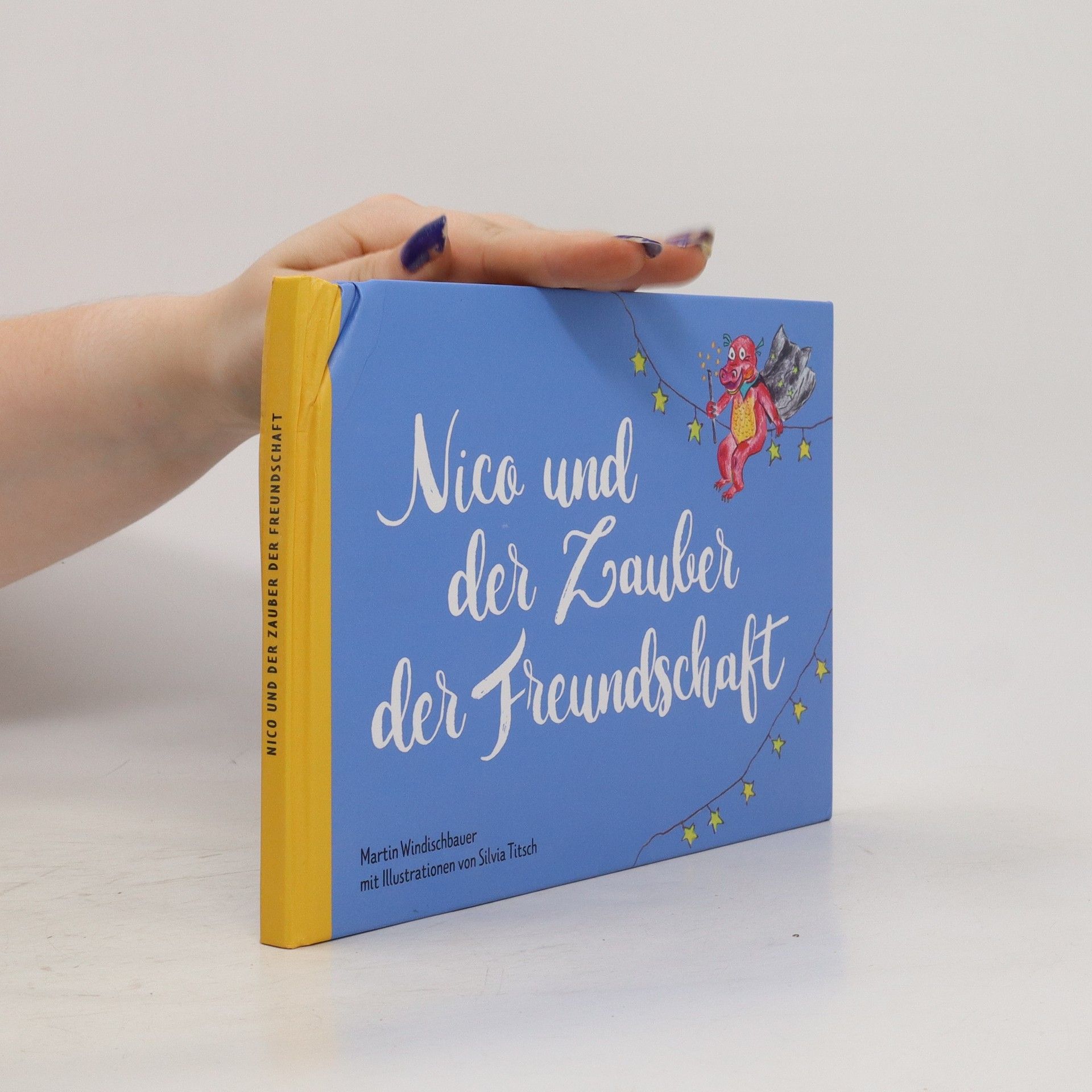 Silvia Titsch Nico und der Zauber der Freundschaft