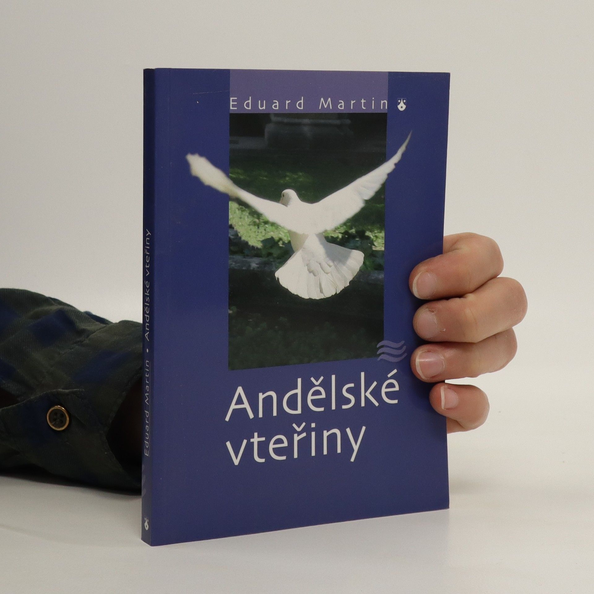 Martin Petiška Andělské vteřiny