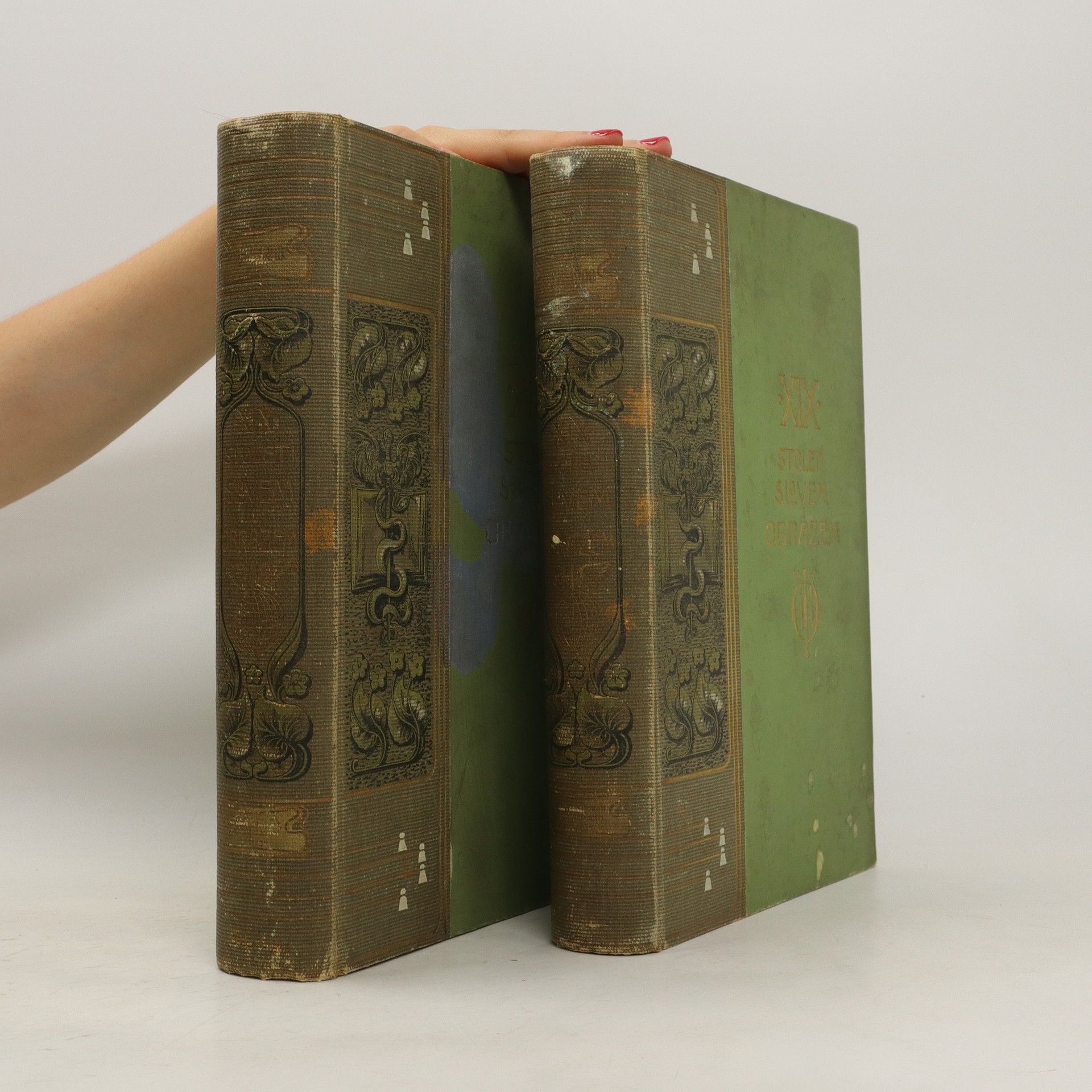 Auteurscollectief Devatenácté století slovem i obrazem I.-II.