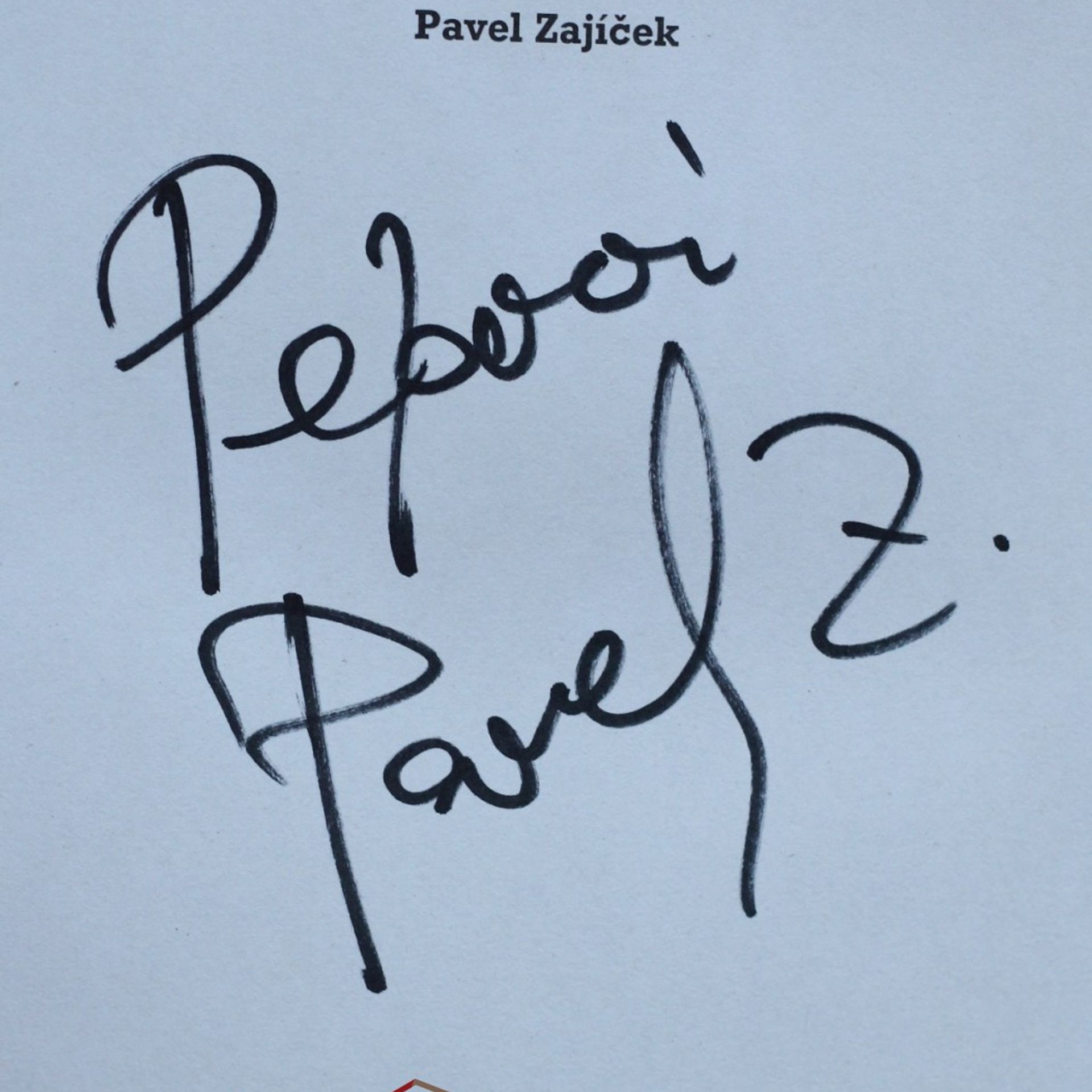 Pavel Zajíček Zápisky z podzemí : (1973-1980)