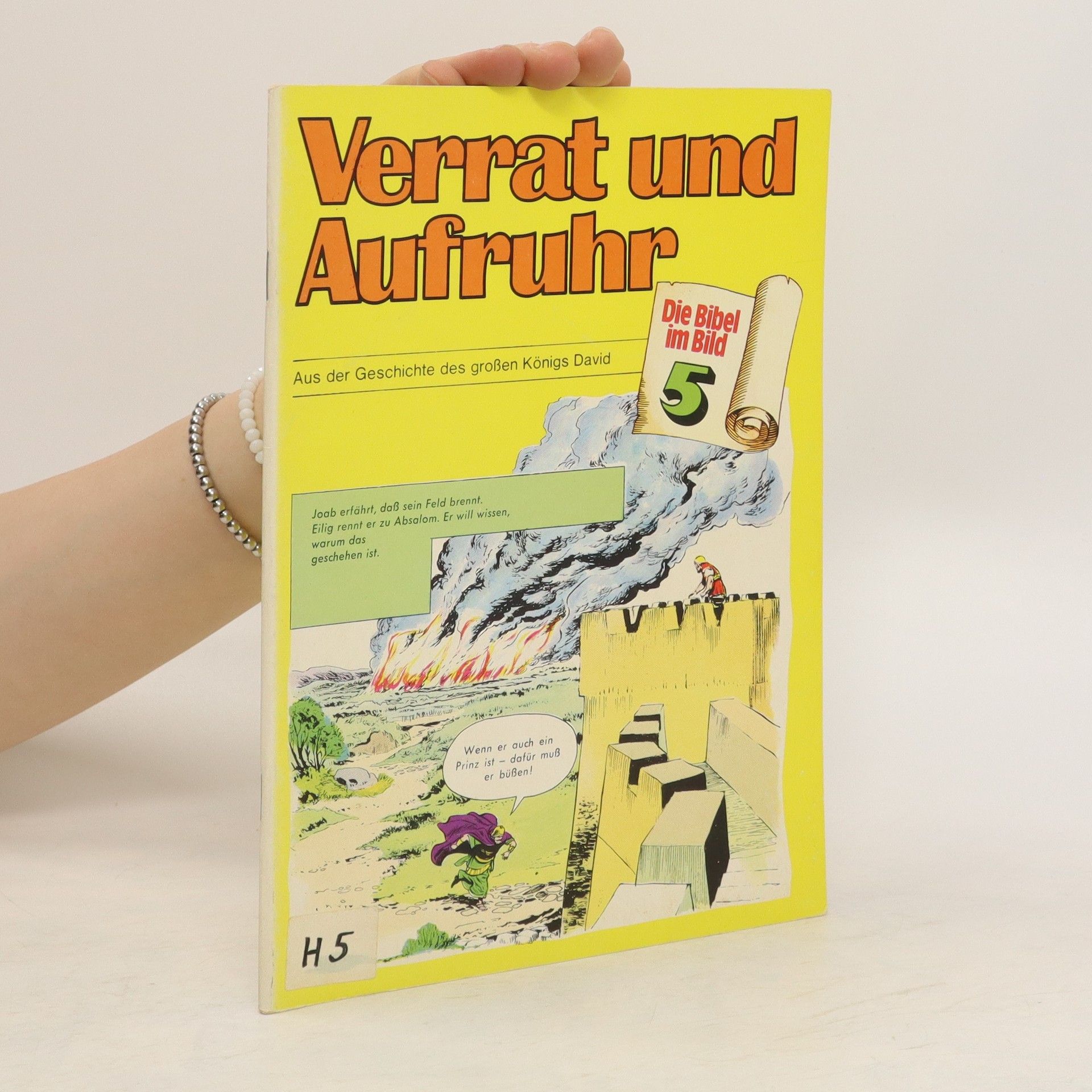 Auteurscollectief Die Bibel im Bild. Band 5 - Verrat und Aufruhr