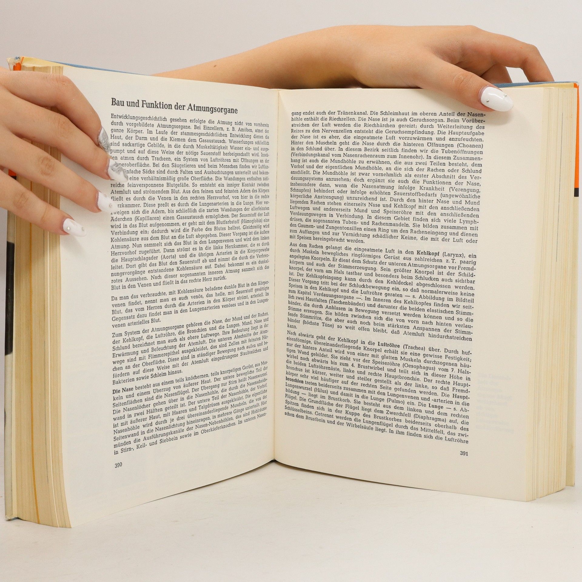 Autorenkollektiv Das Neue Gesundheitsbuch