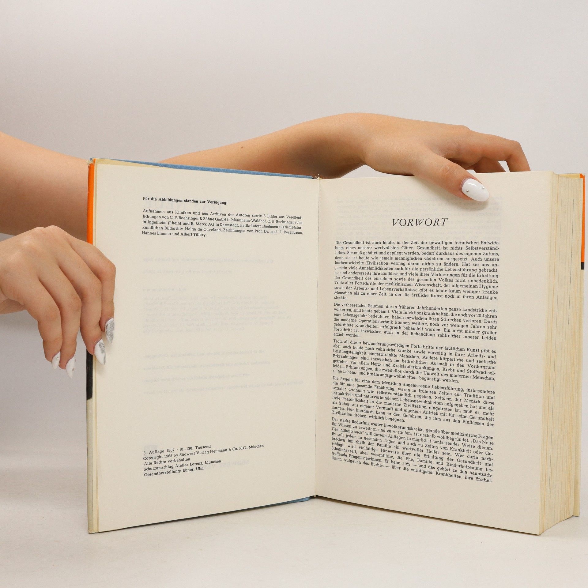 Autorenkollektiv Das Neue Gesundheitsbuch