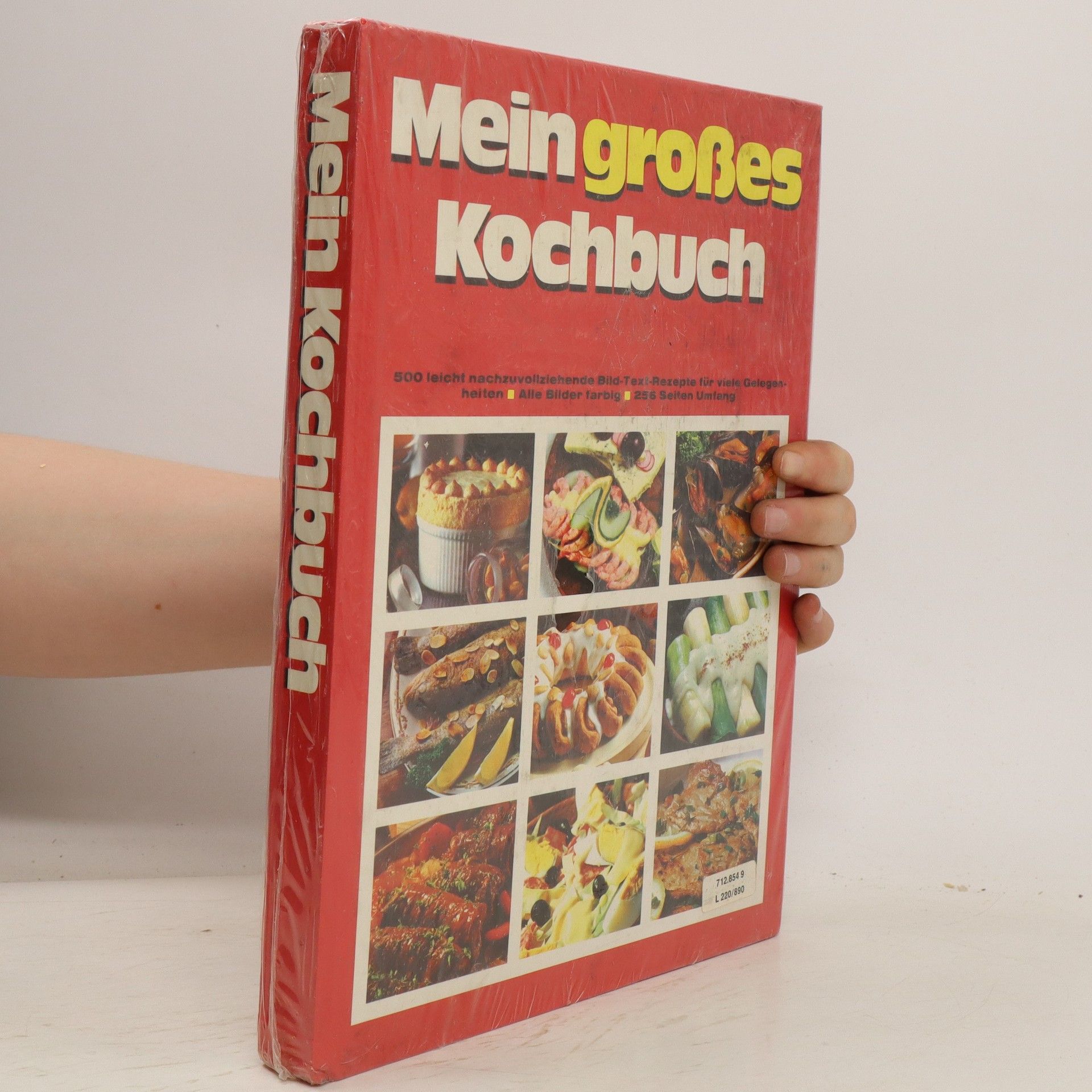 Collectif d'auteurs Mein großes Kochbuch