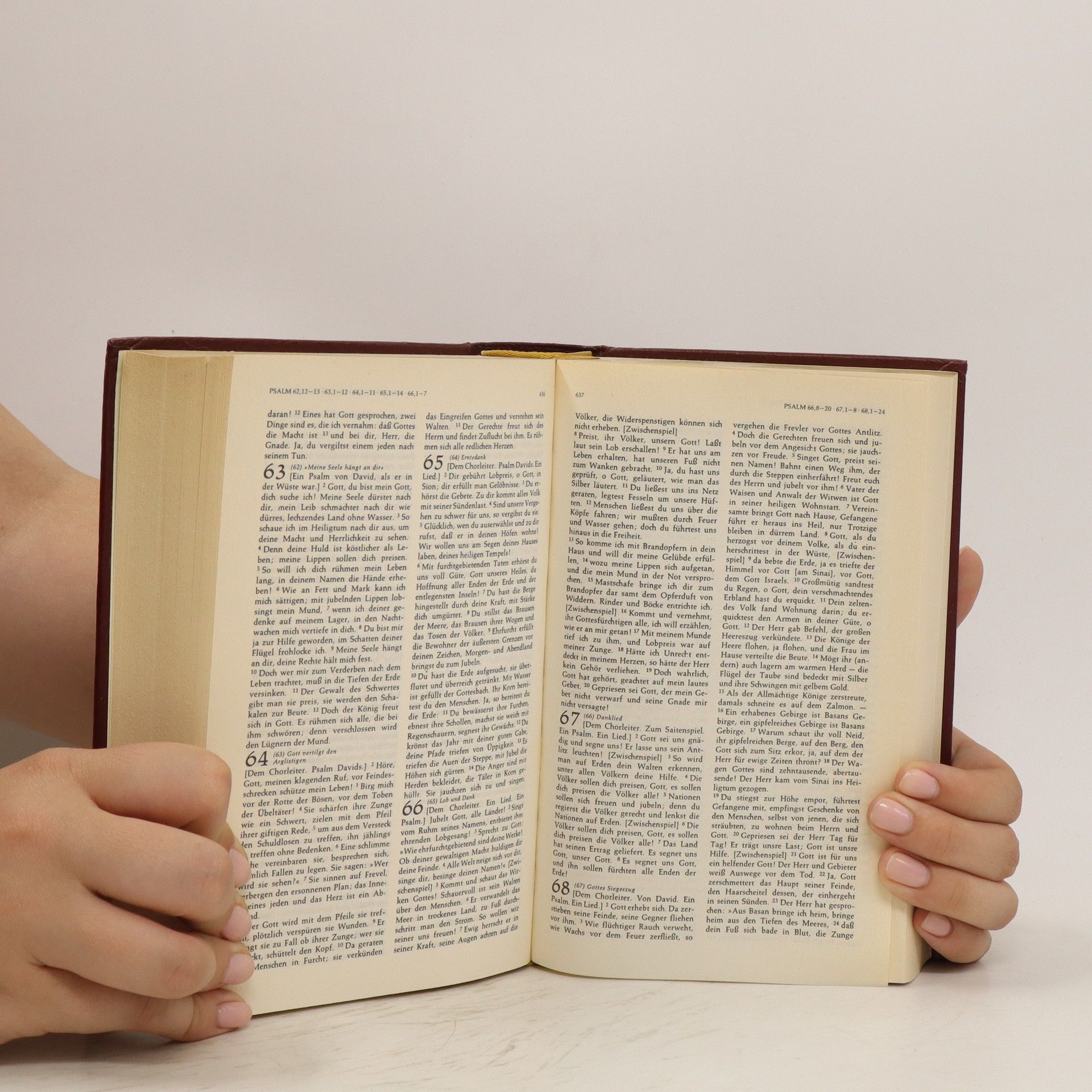 Auteurscollectief Die Bibel