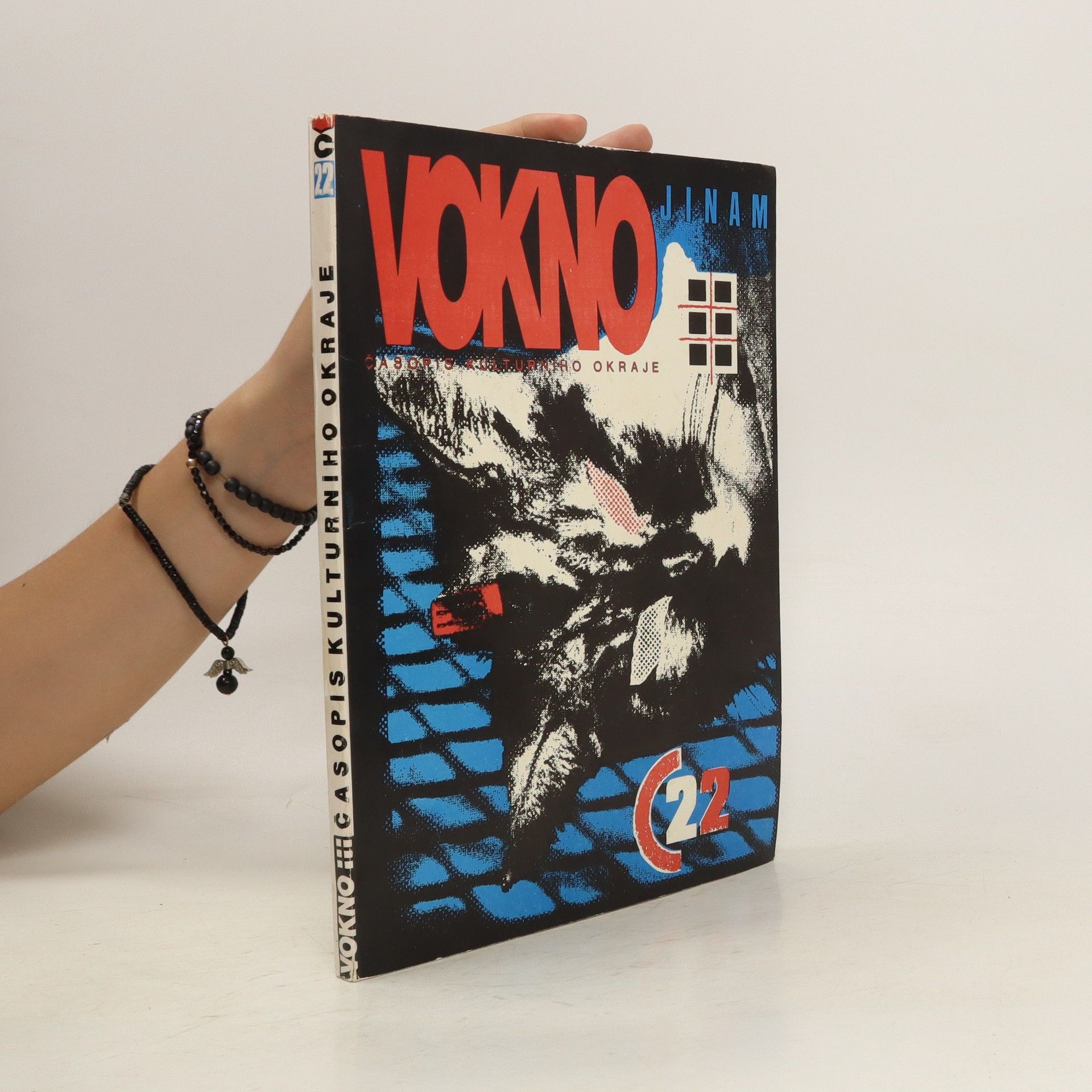 Autorenkollektiv Vokno jinam - časopis kulturního okraje (č. 22)