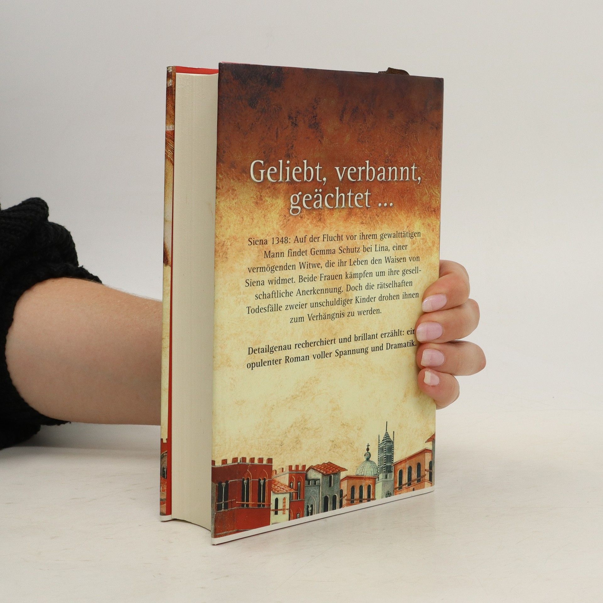 Brigitte Riebe Die Sünderin von Siena