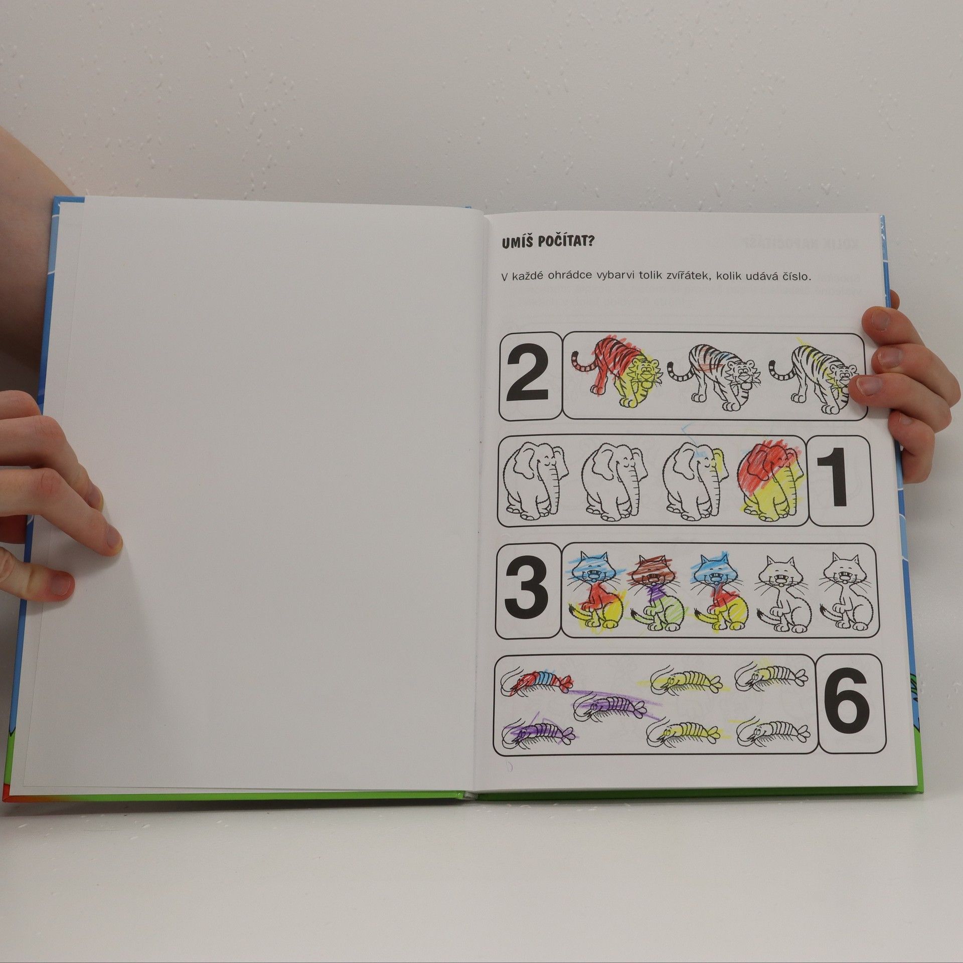 Christian Van den Daele Velká kniha pro předškoláky