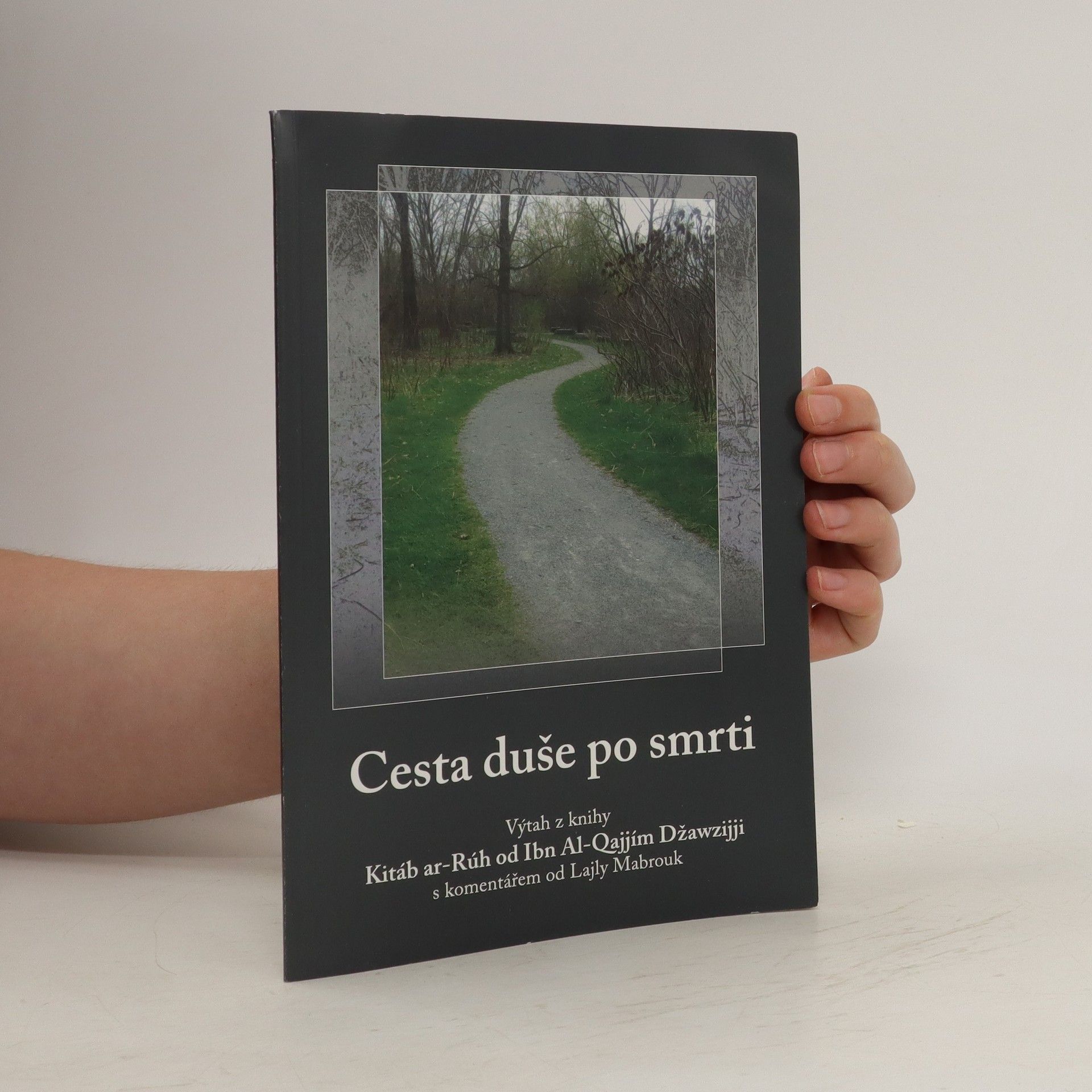 Collectif d'auteurs Cesta duše po smrti