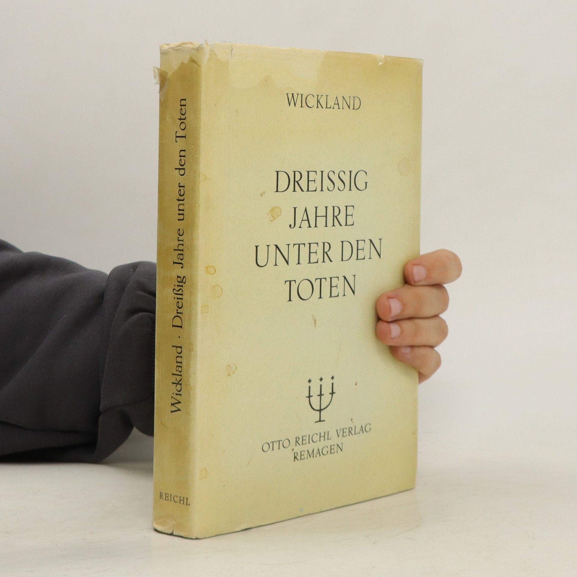 Carl Wickland Dreissig Jahre unter den Toten