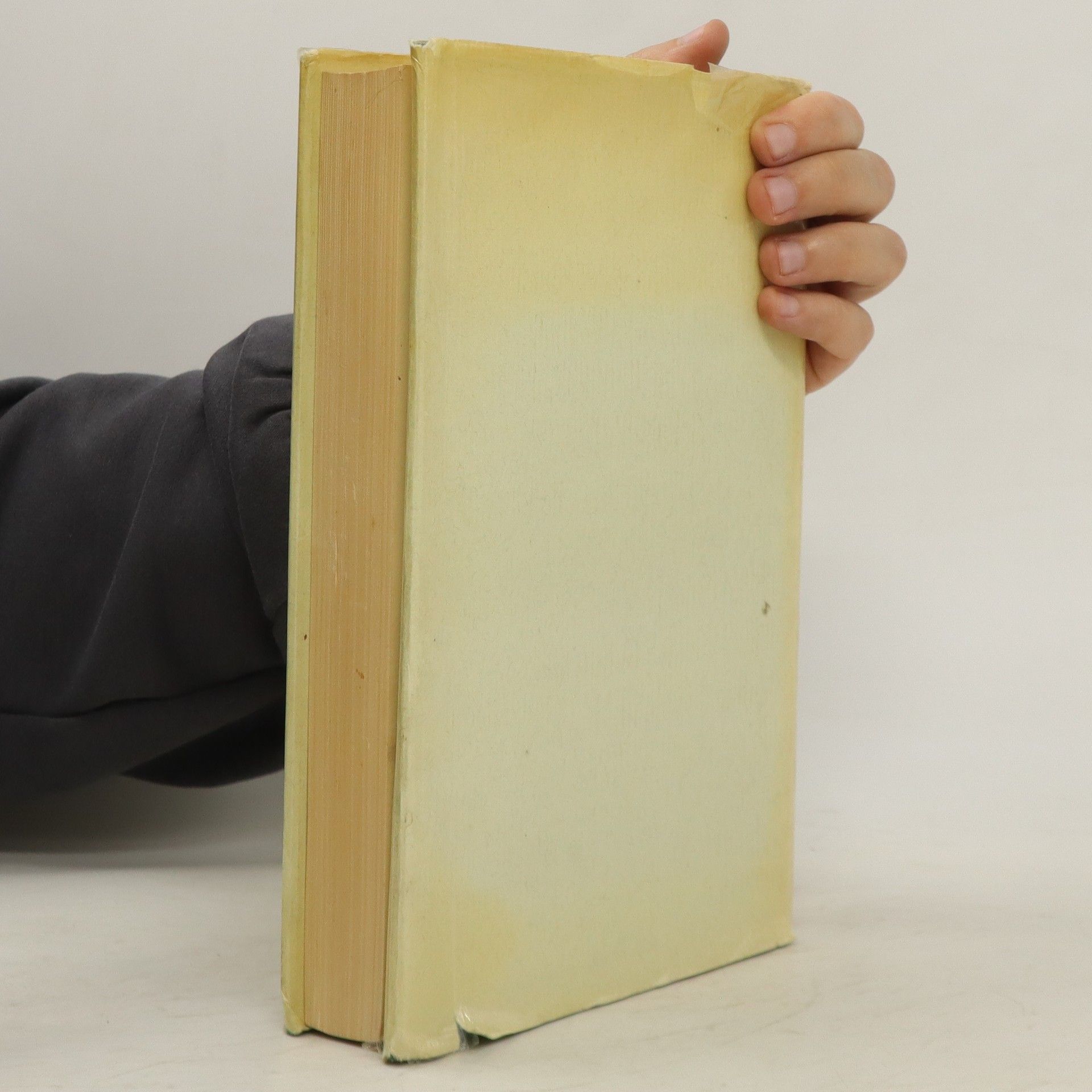 Carl Wickland Dreissig Jahre unter den Toten