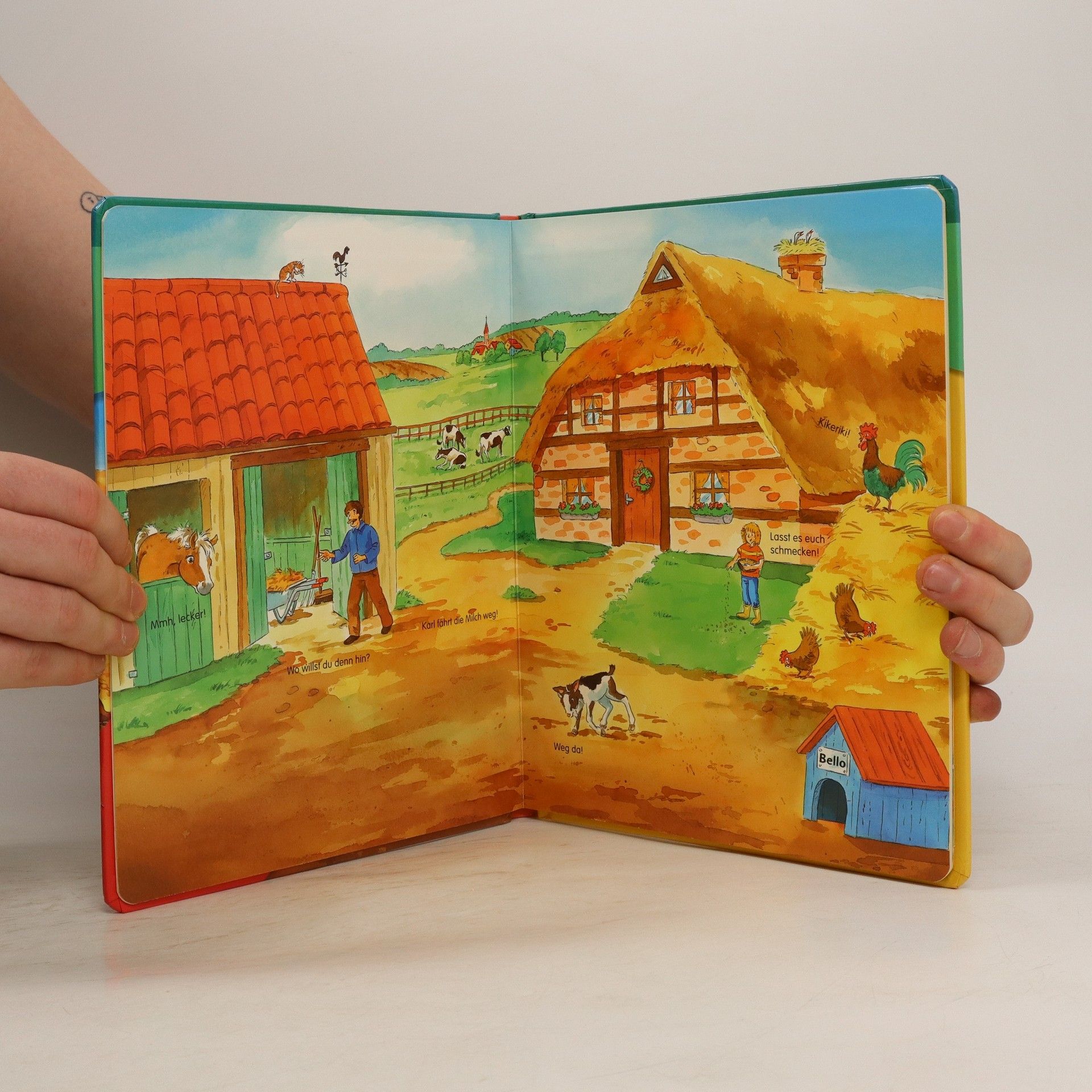 Autorenkollektiv Auf dem Bauernhof. Magnet-Spiel-Buch