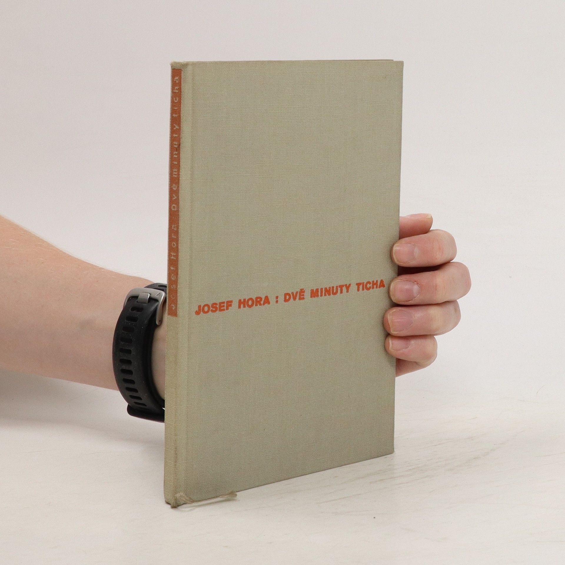 Hana Pinknerová Dvě minuty ticha
