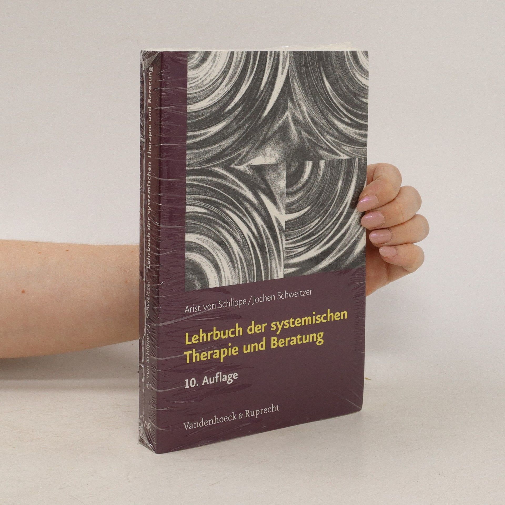 Arist von Schlippe Lehrbuch der systemischen Therapie und Beratung