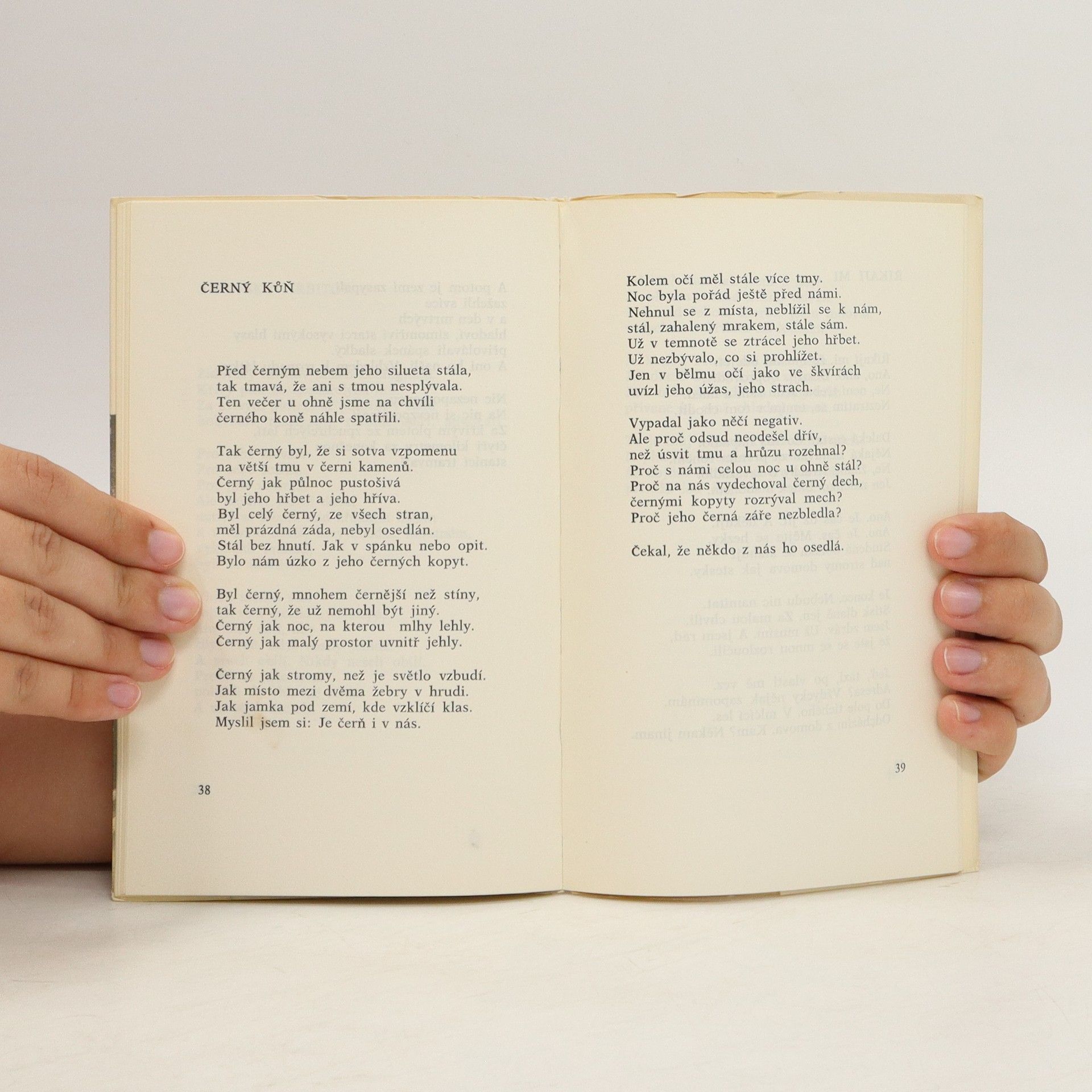 Joseph Brodsky Velká elegie