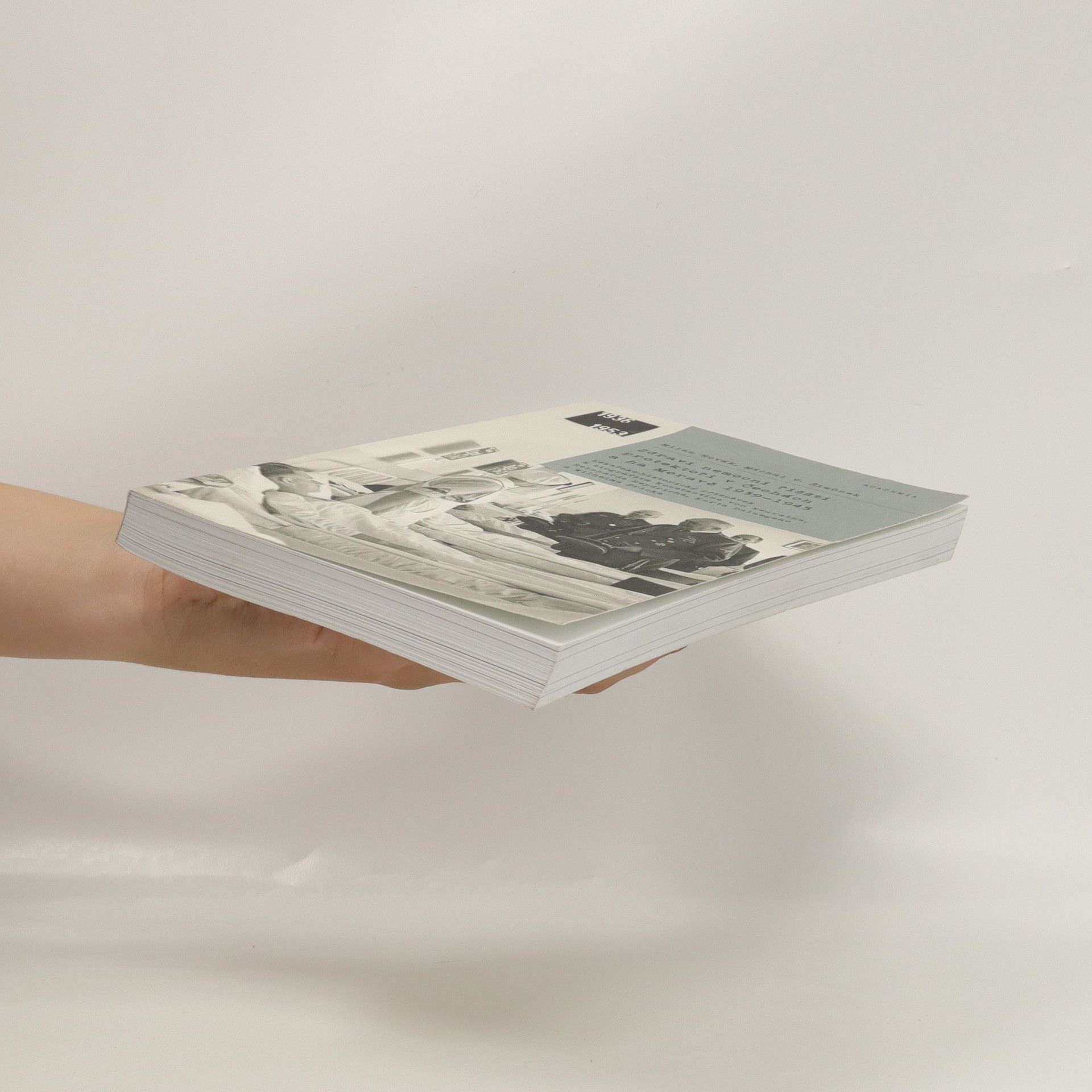 Milan Novák Zdraví nemocní říšští protektoři v Čechách a na Moravě 1939-1945 : lékařsko-historický příspěvek k biografiím Konstantina von Neuratha, Reinharda Heydricha, Kurta Daluegeho a Wilhelma Fricka