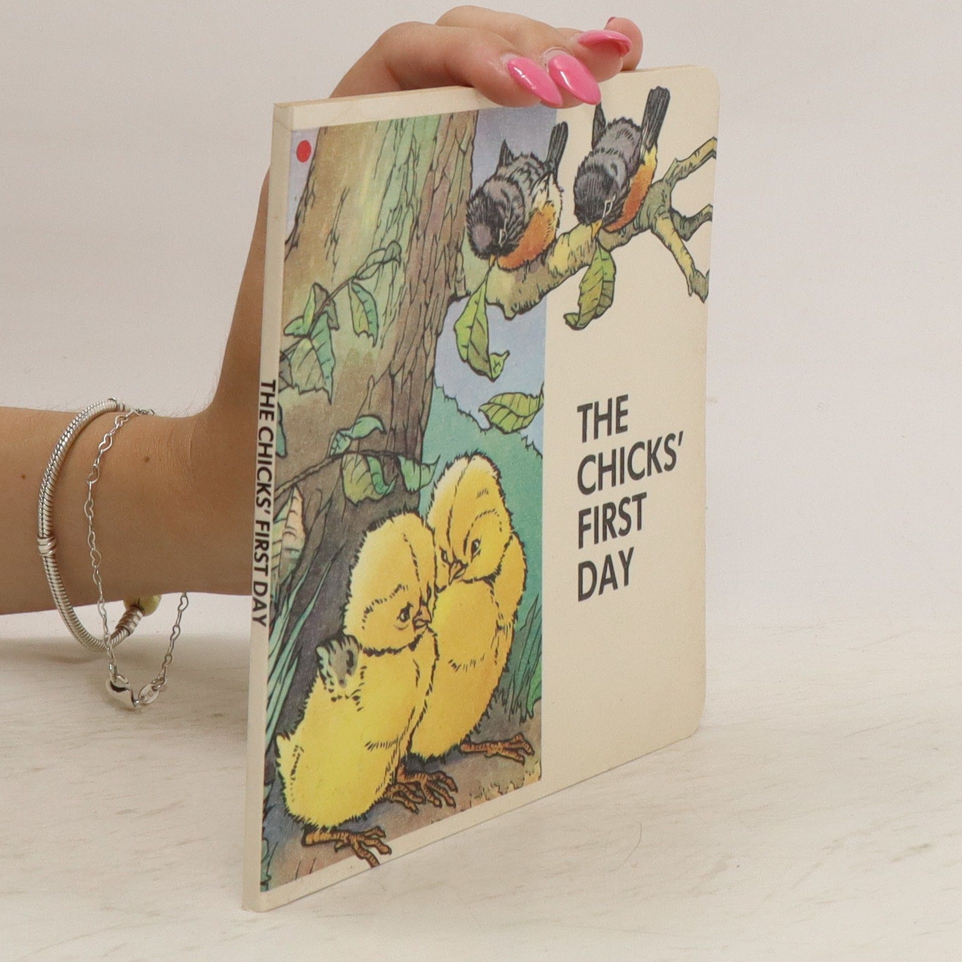 Kolektiv autorů The chick's first day