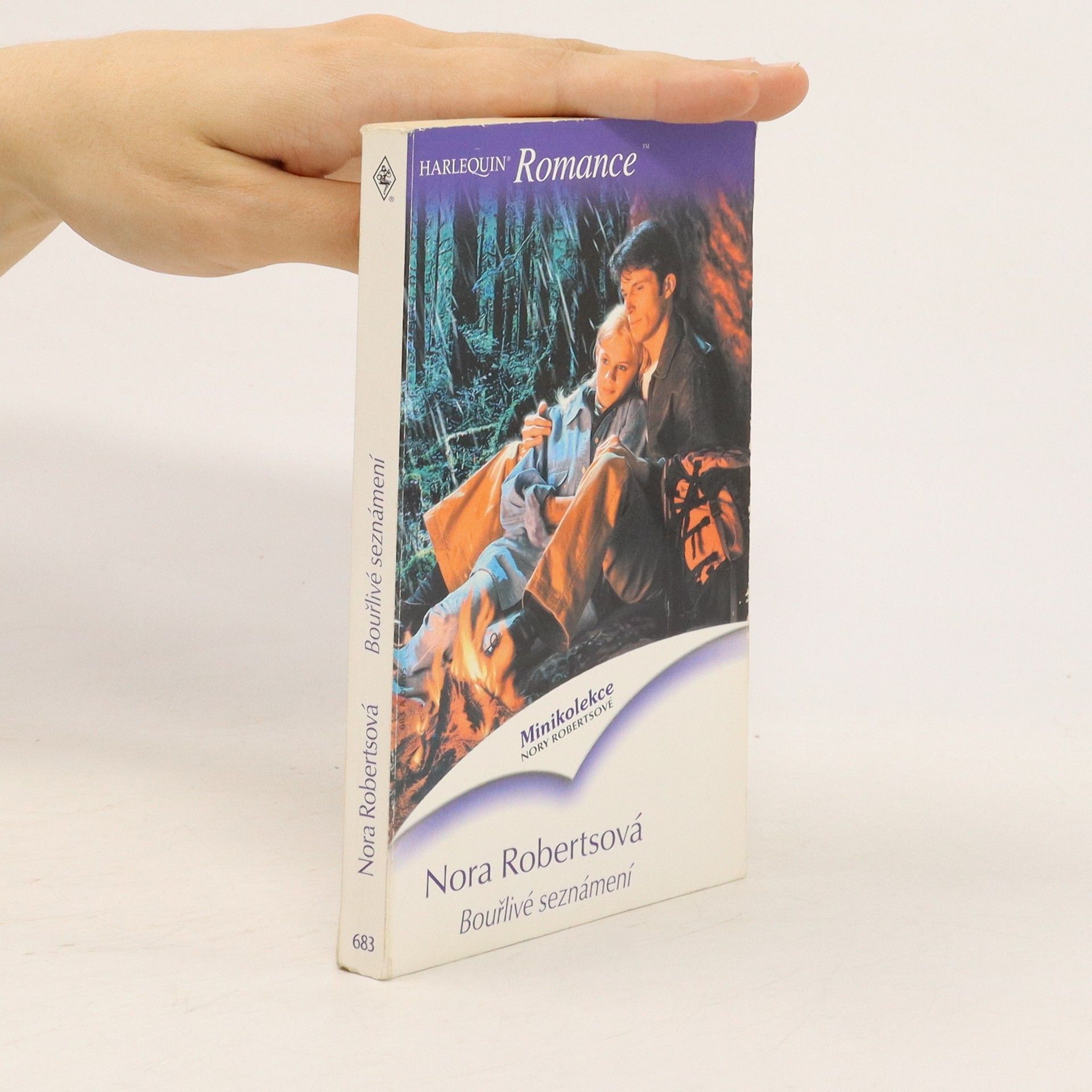 Nora Roberts Bouřlivé seznámení