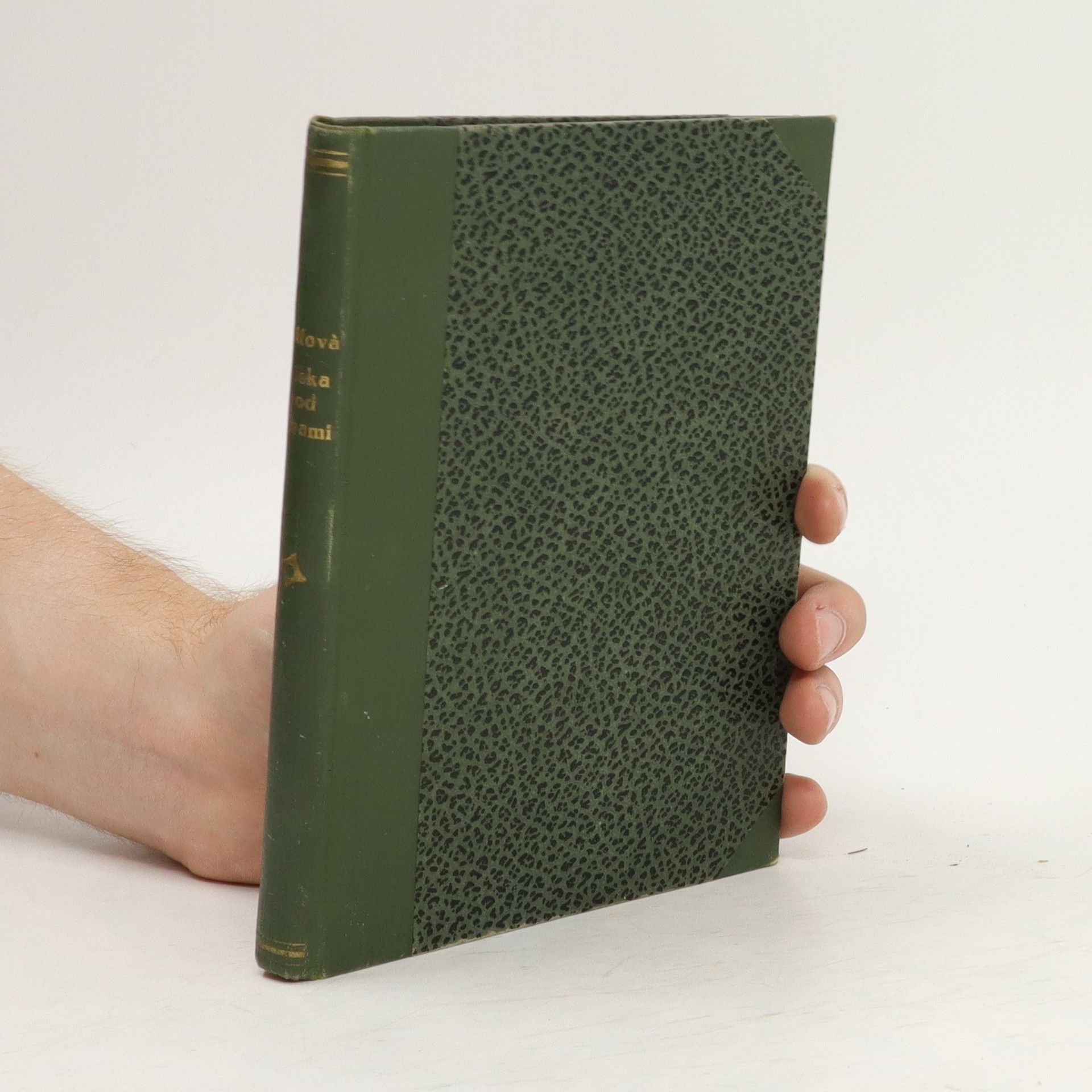 Vlasta Chottová Láska pod horami