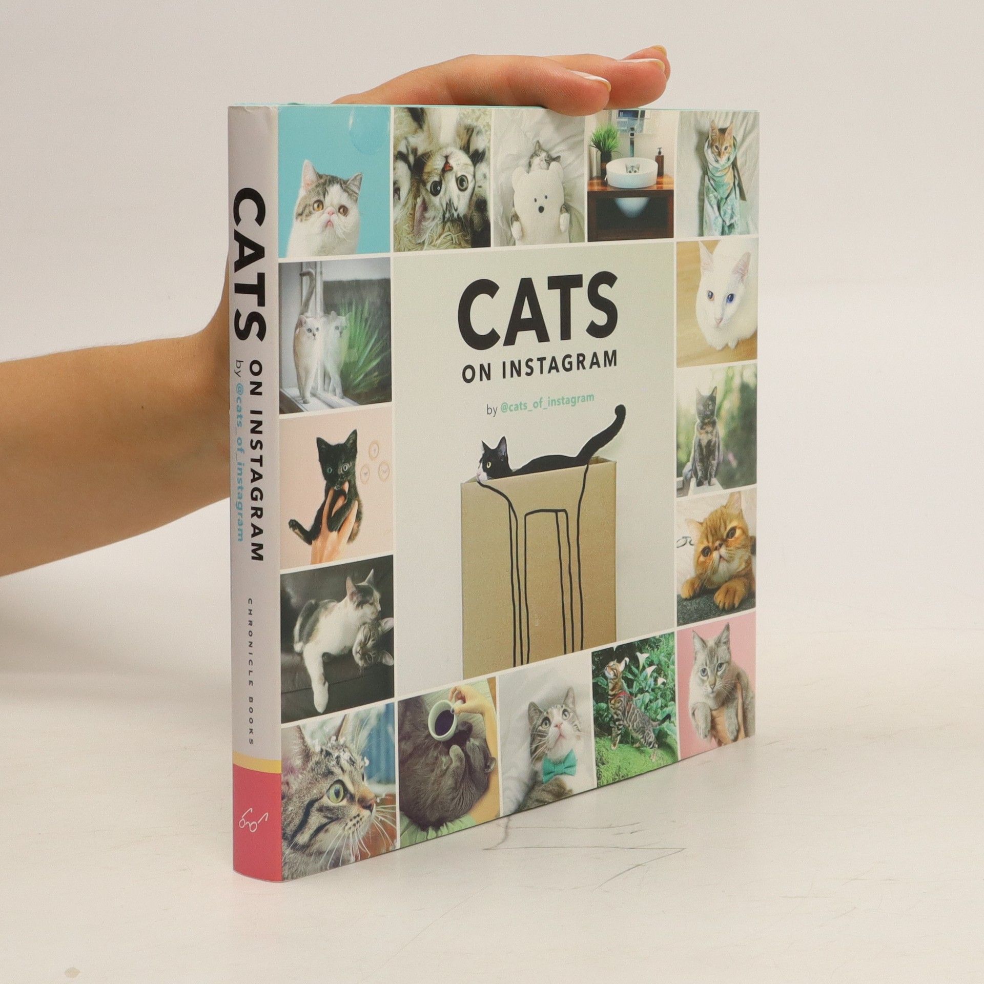 Collectif d'auteurs Cats on Instagram
