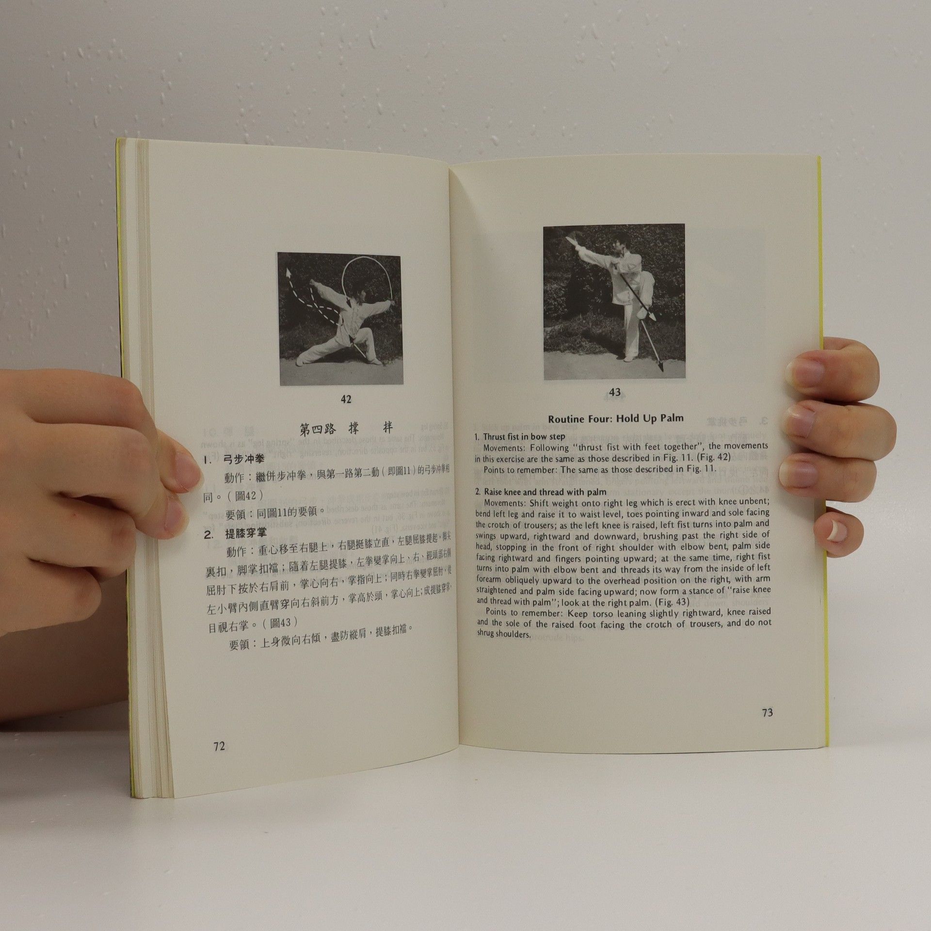 Ma Zhenbang Chinese Kung-fu Series 6 - Ten Routine Spring Leg