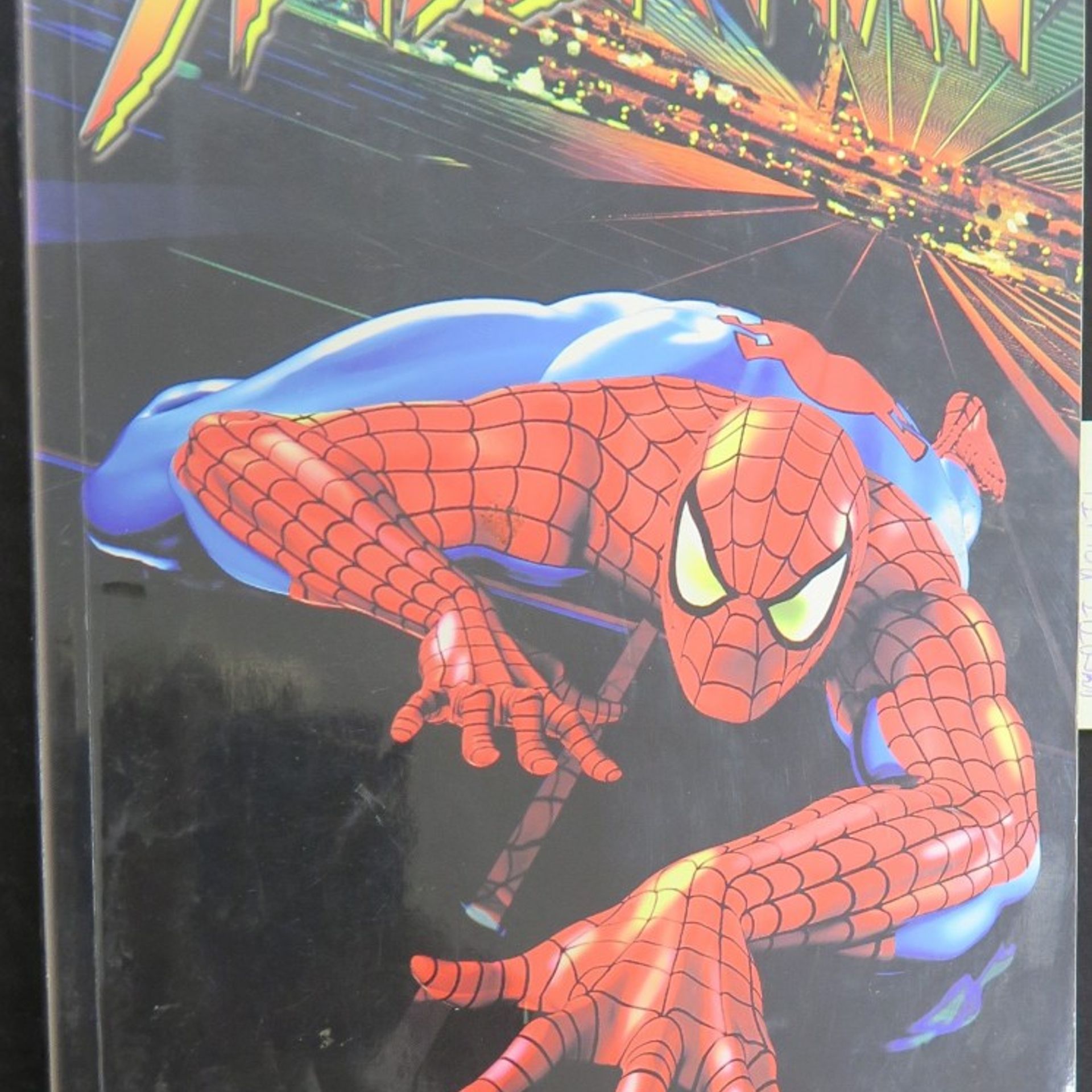 Stan Lee Spider-man (kniha 2)