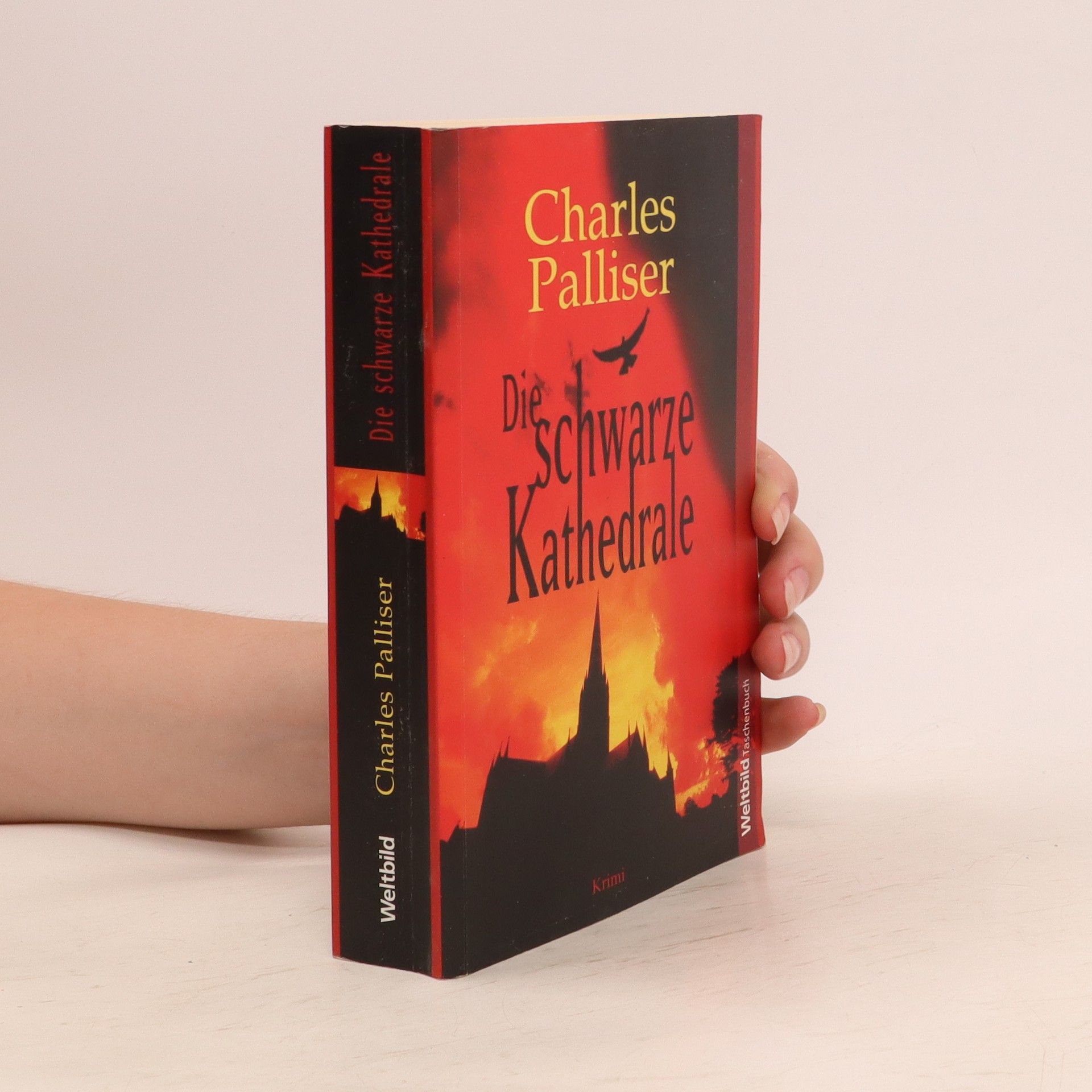 Charles Palliser Die schwarze Kathedrale