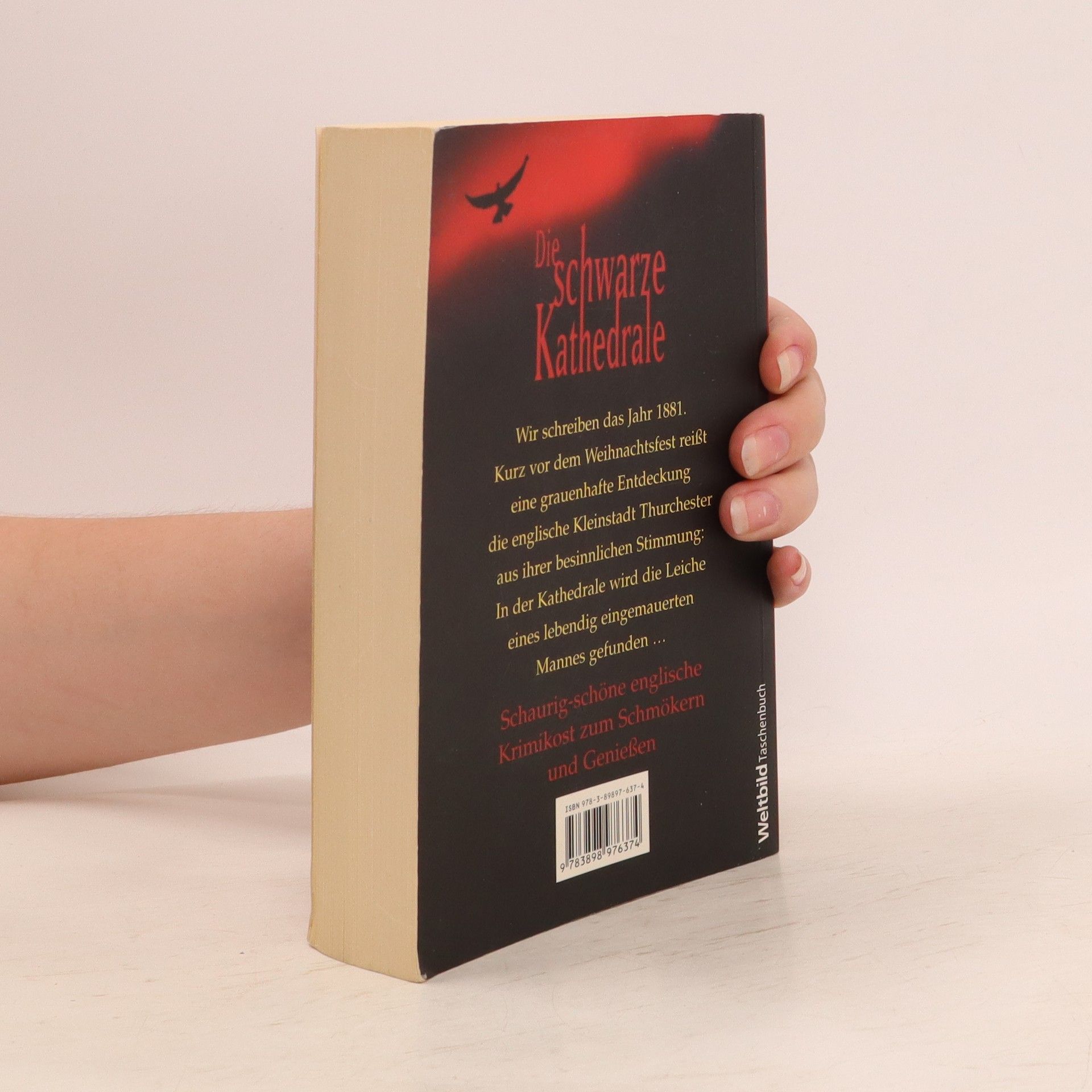 Charles Palliser Die schwarze Kathedrale