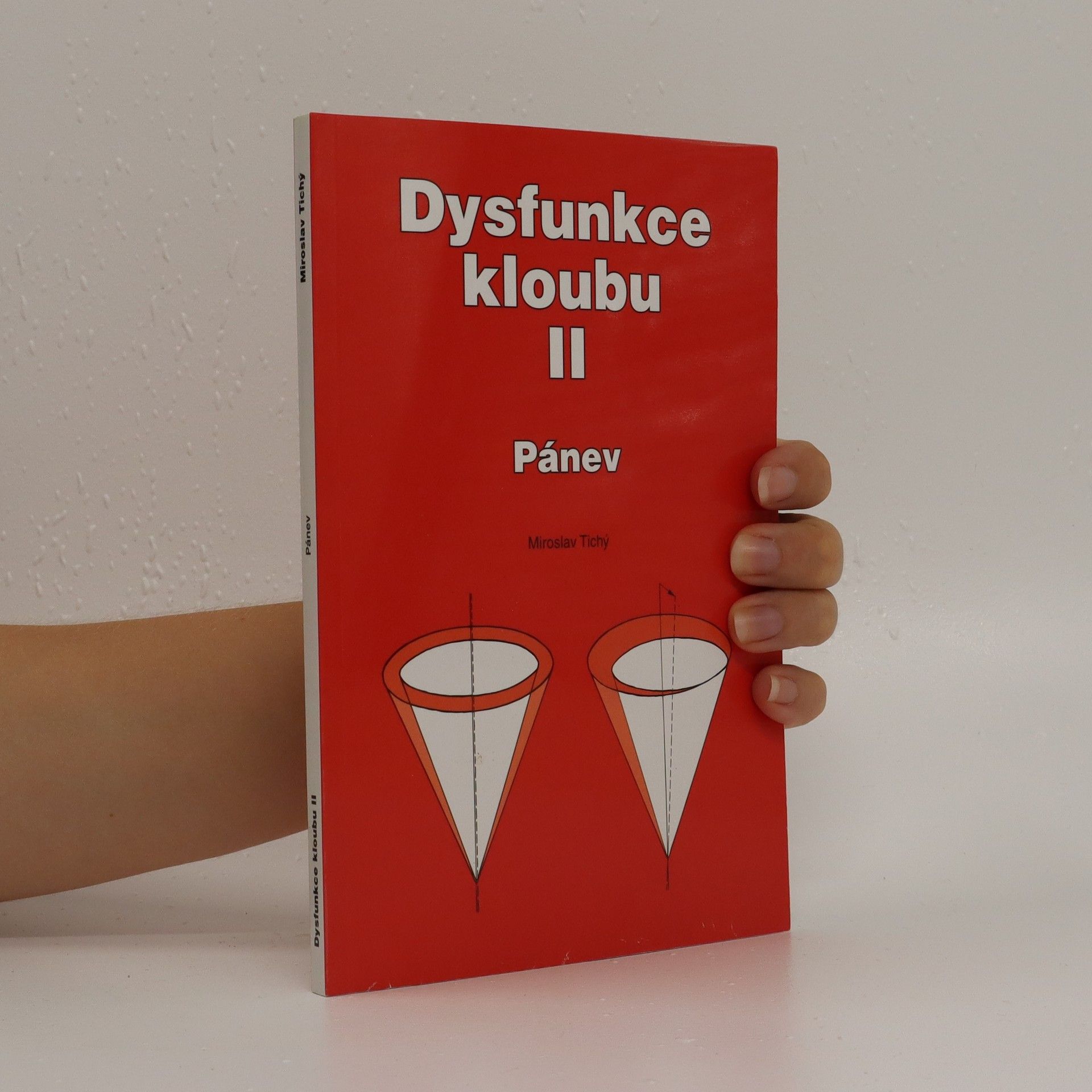 Miroslav Tichý Dysfunkce kloubu. II, Pánev