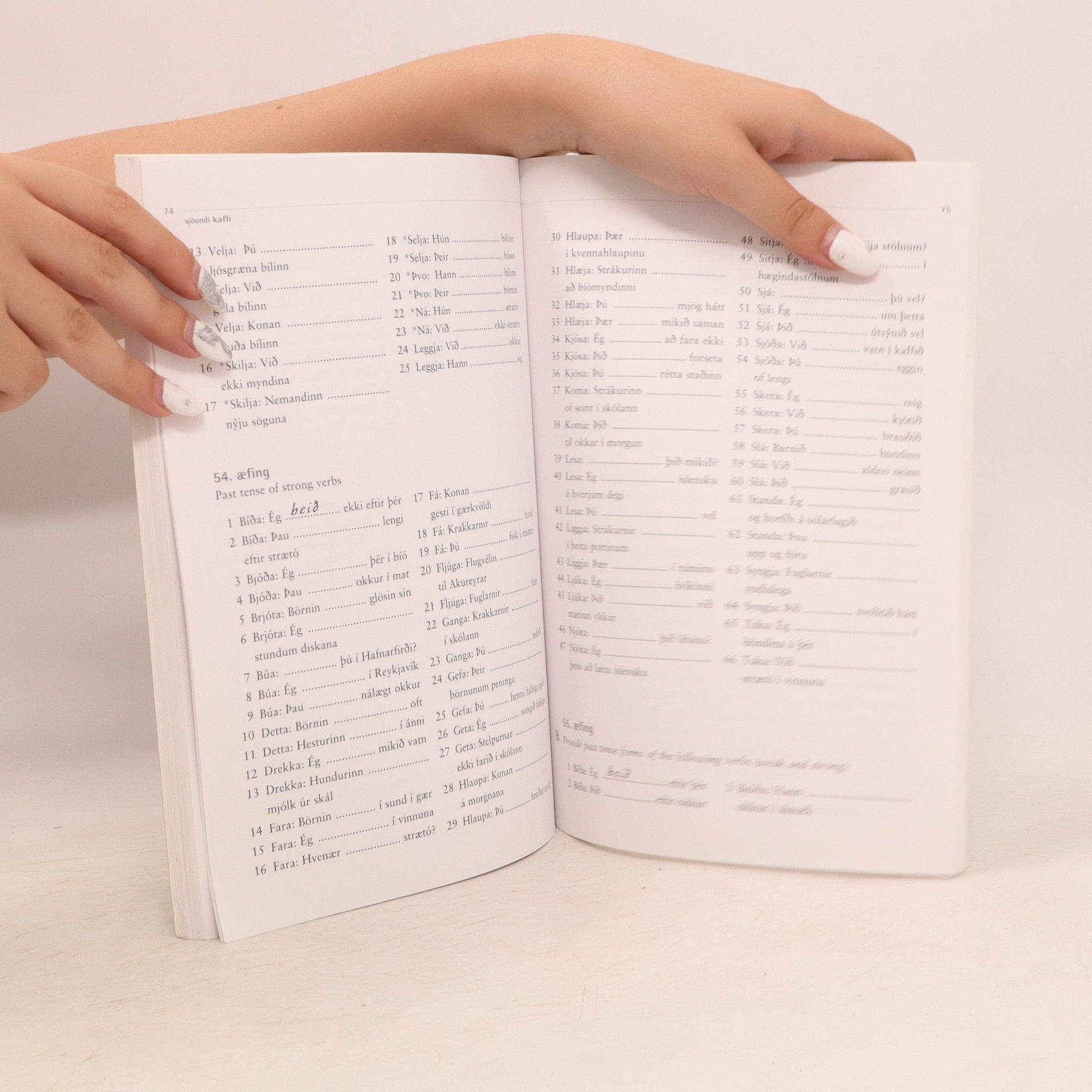 Guđrun Theodórsdóttir Learning Icelandic: Grammar exercises (islandsky)