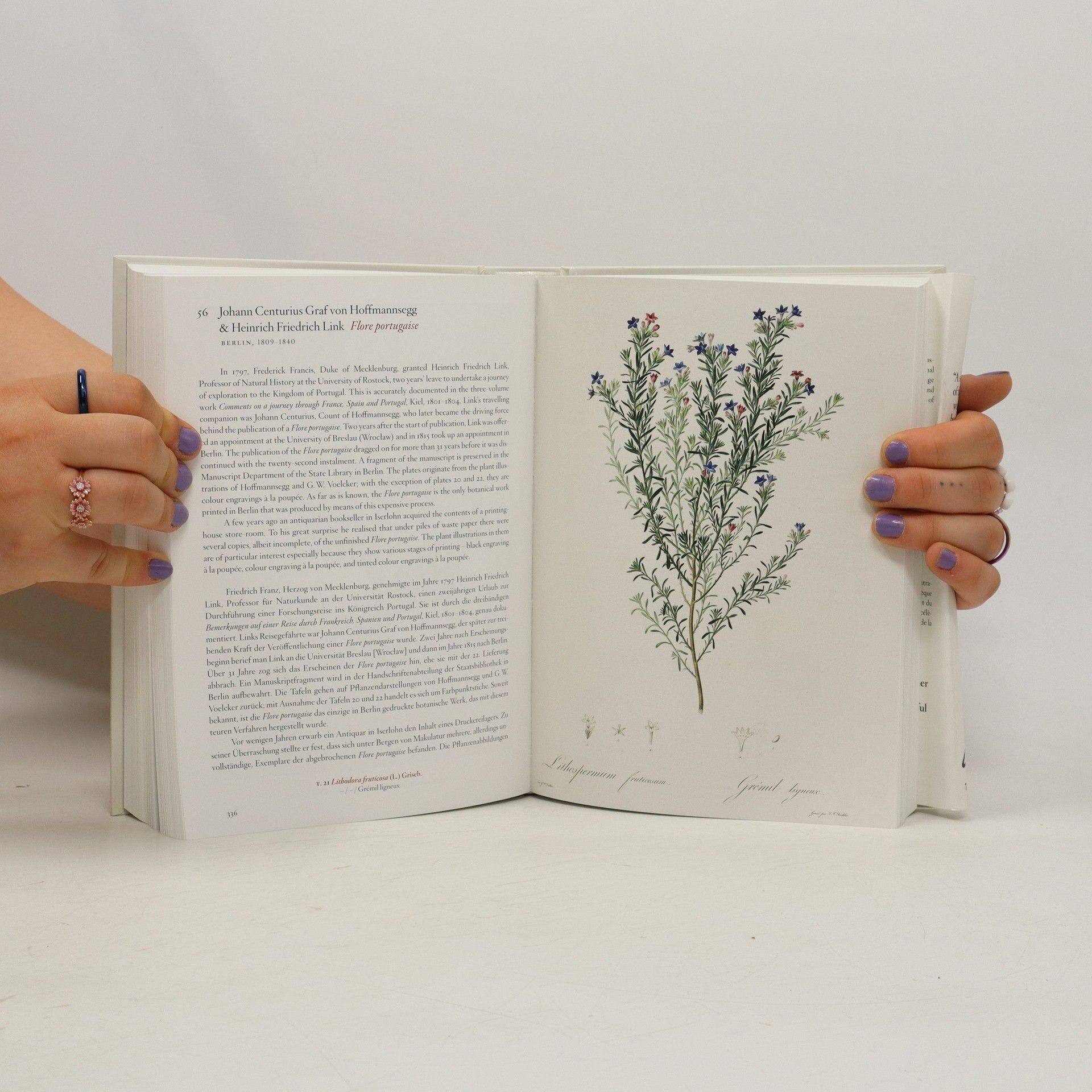 Hans Walter Lack A Garden Eden. Masterpieces of Botanical Illustrationn