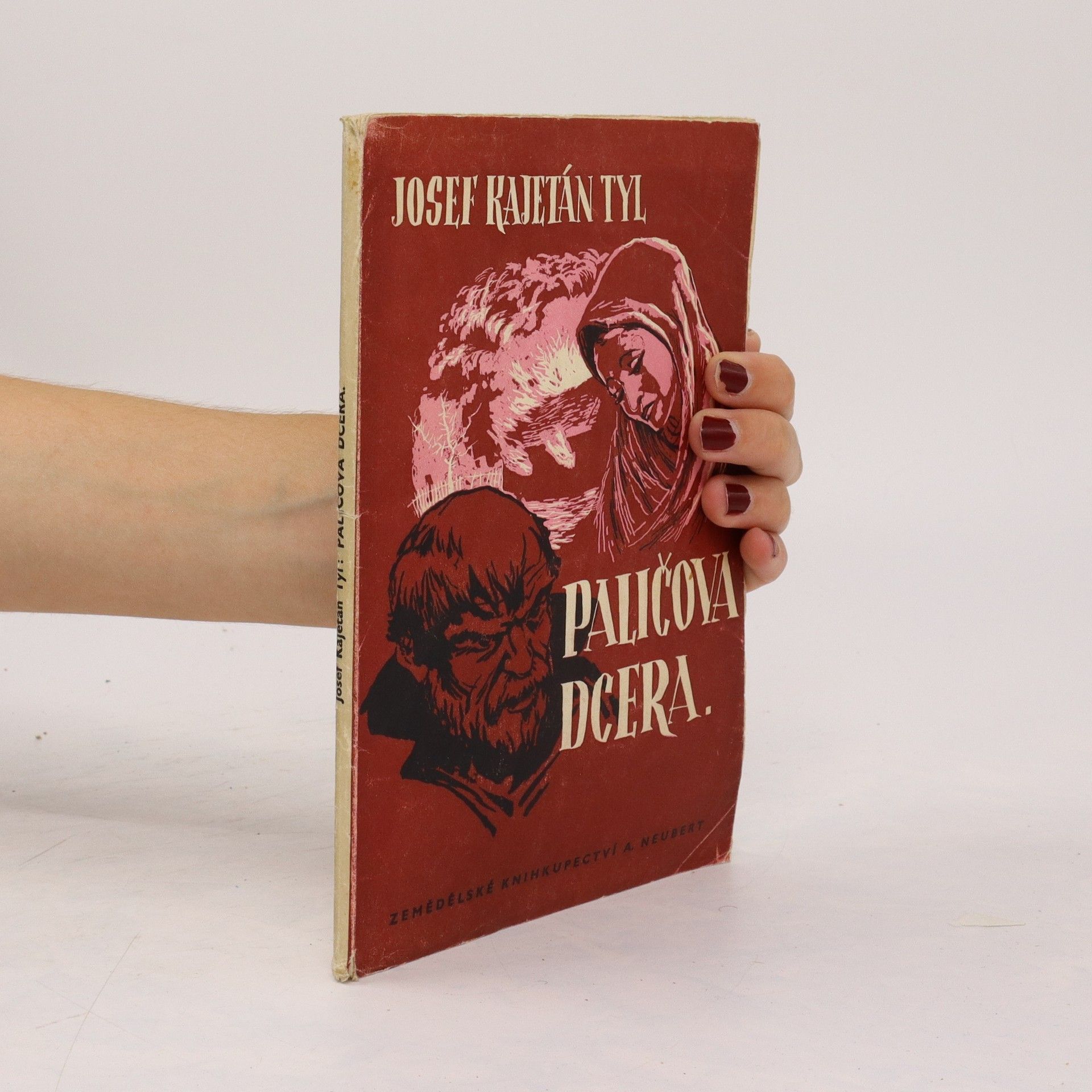 Kolektív autorov Paličova dcera