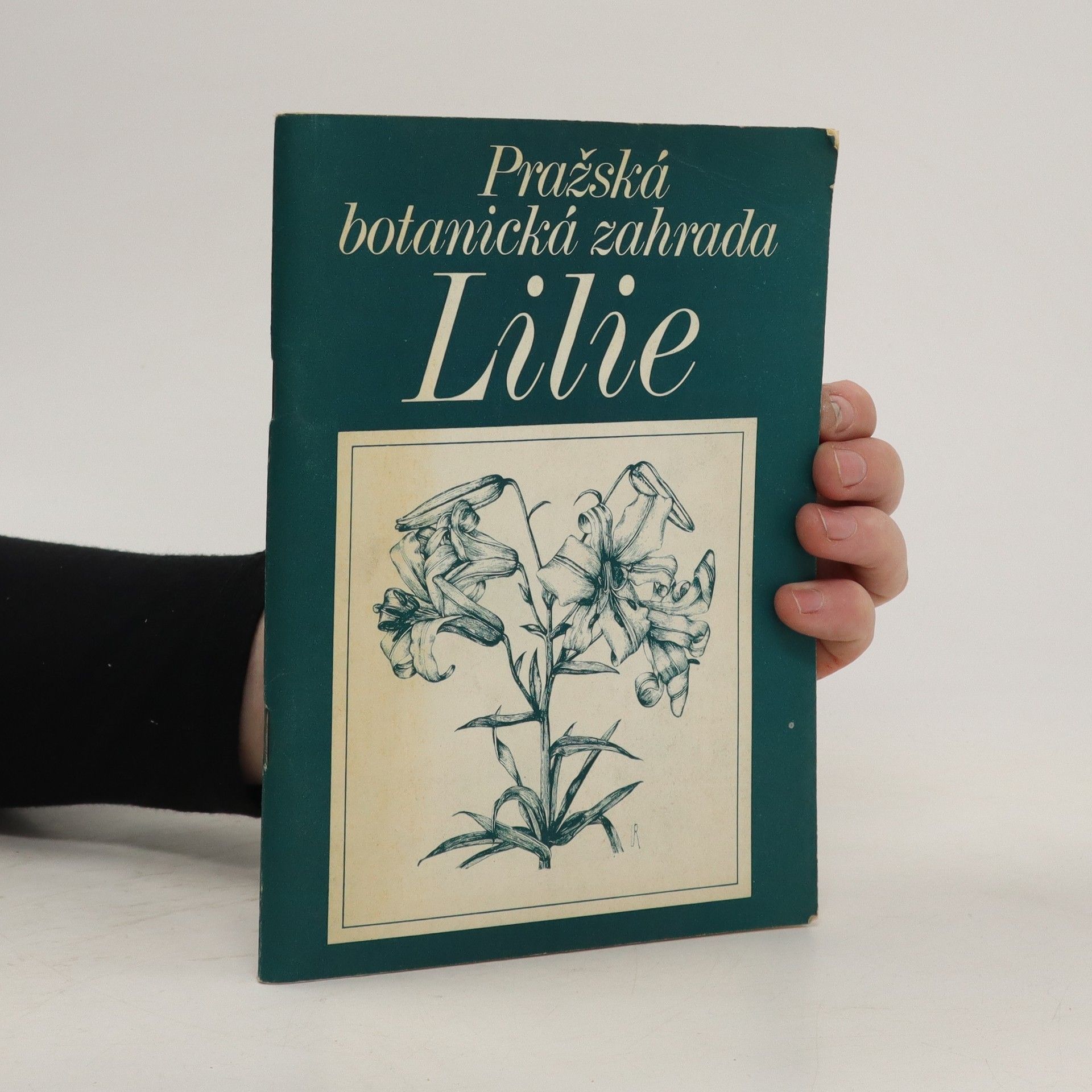 Kolektiv autorů Pražská botanická zahrada. Lilie