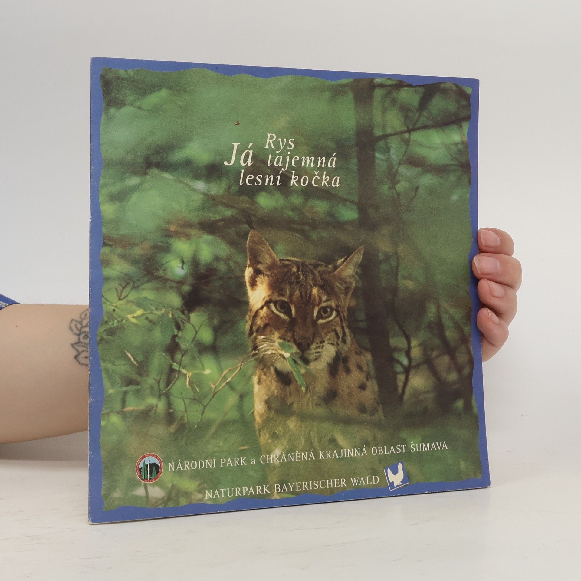 Kolektív autorov Já rys, tajemná lesní kočka