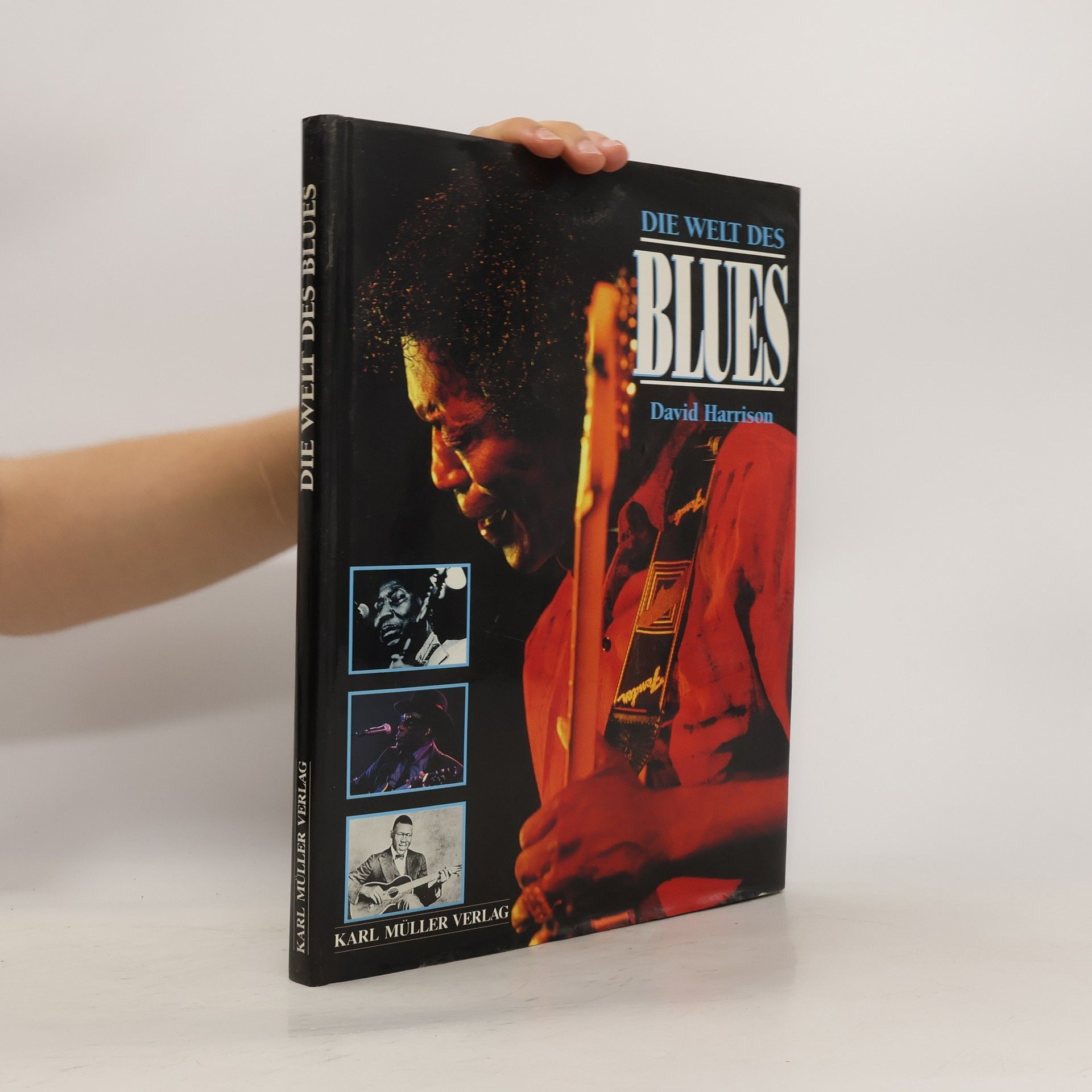 David Harrison Die Welt des Blues