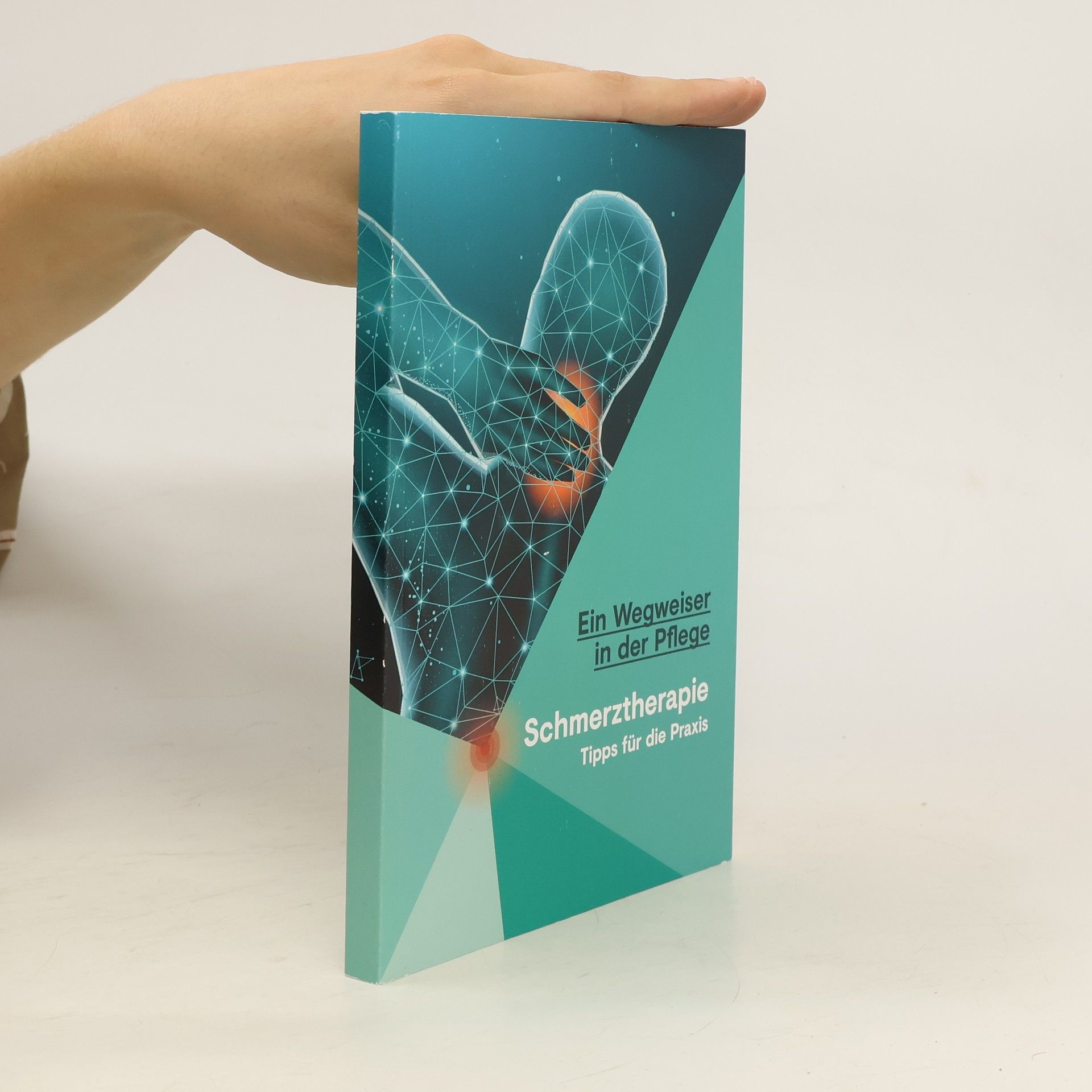 Auteurscollectief Schmerztherapie: Tipps für die Praxis