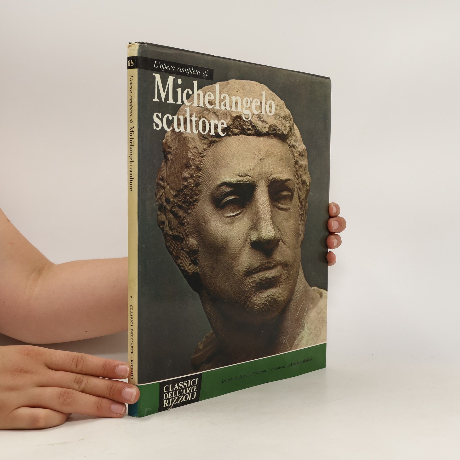 Autorenkollektiv Michelangelo scultore